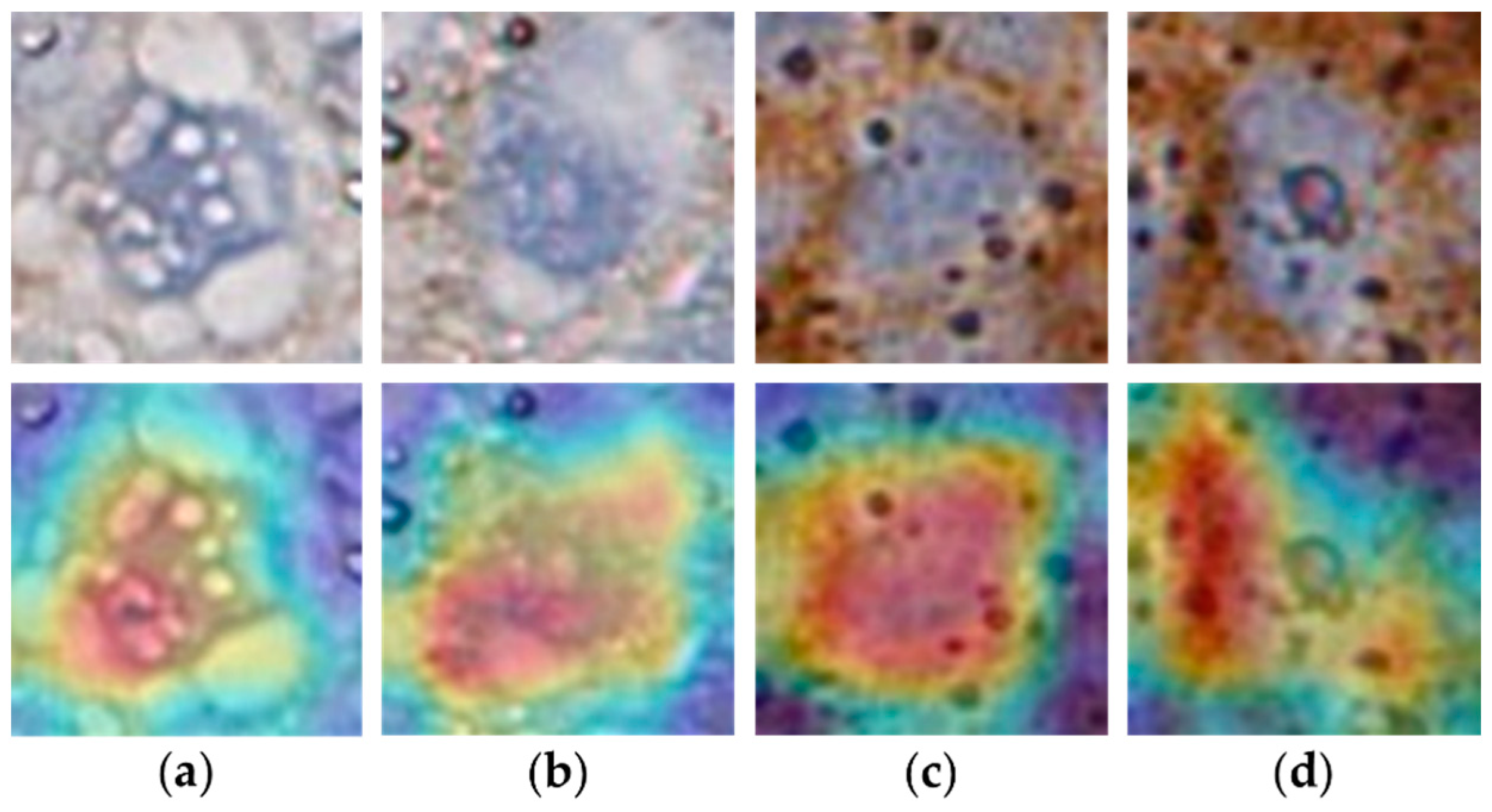 Electronics 11 01642 g010 550