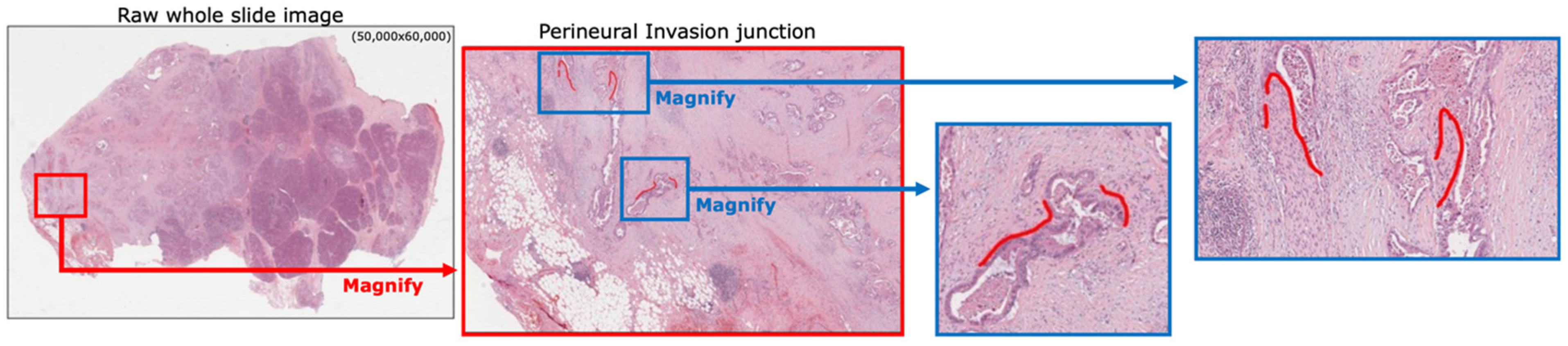Electronics 11 01649 g001