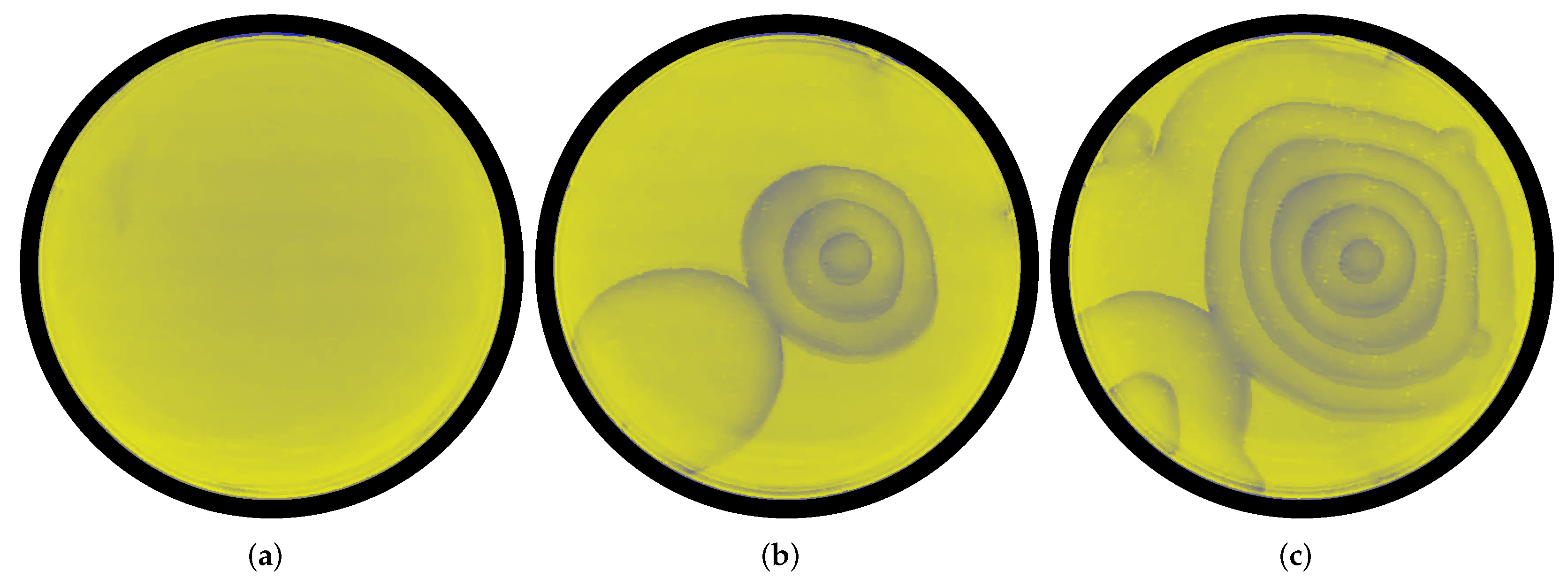 Electronics 11 01683 g001