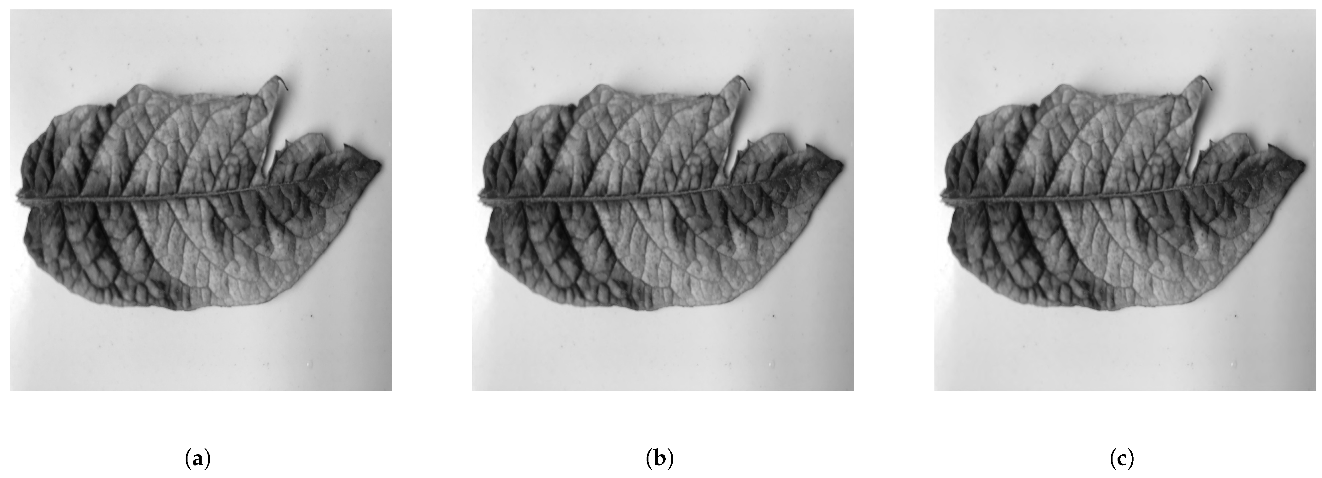 Electronics 11 01764 g010