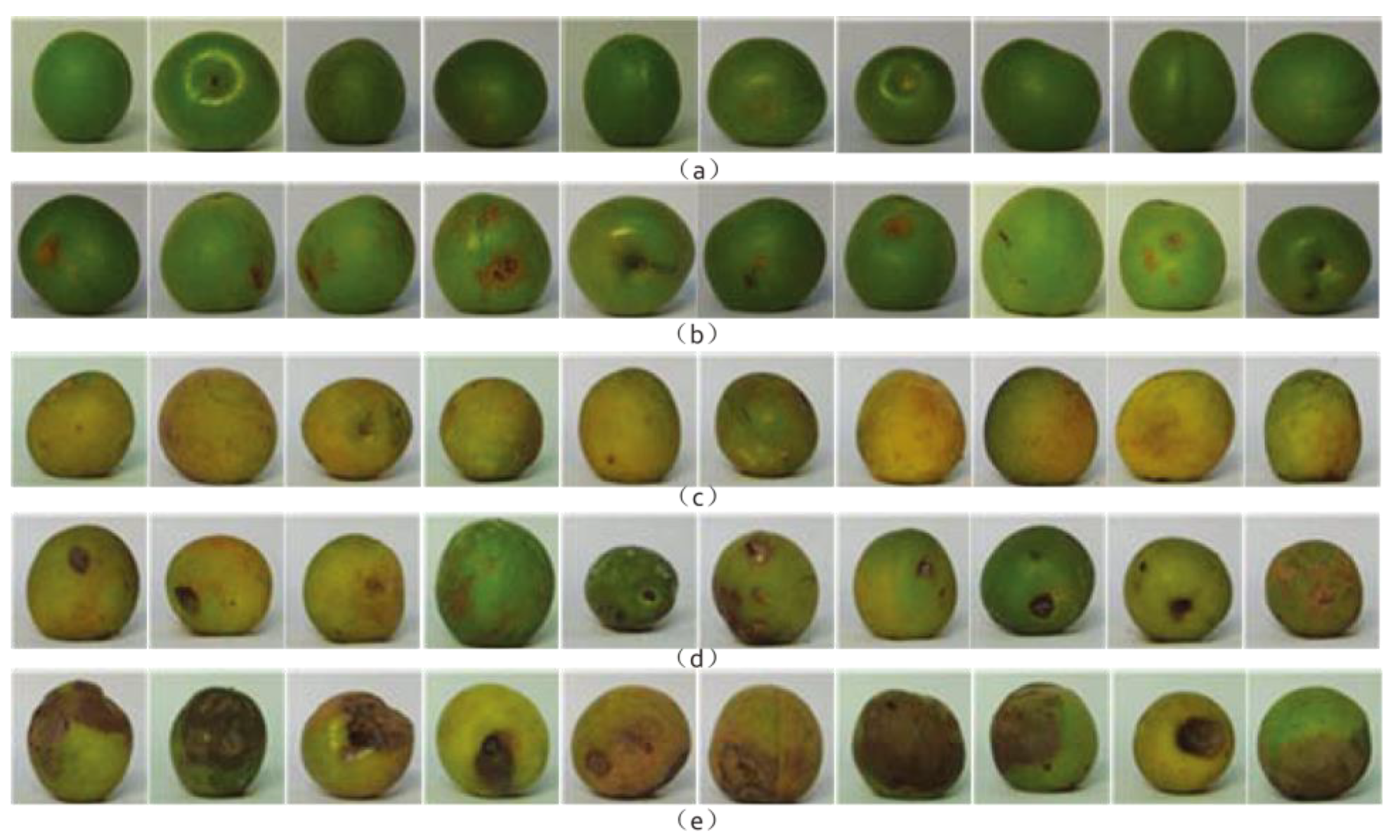 Electronics 11 01832 g004 550