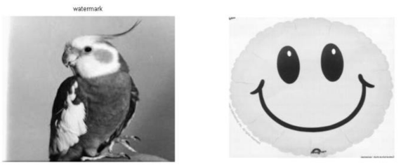 Electronics 11 01849 g005 550