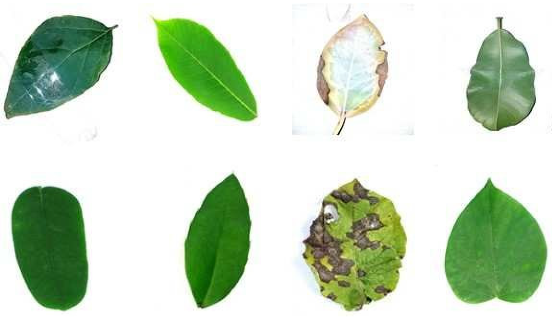 Electronics 11 02022 g007