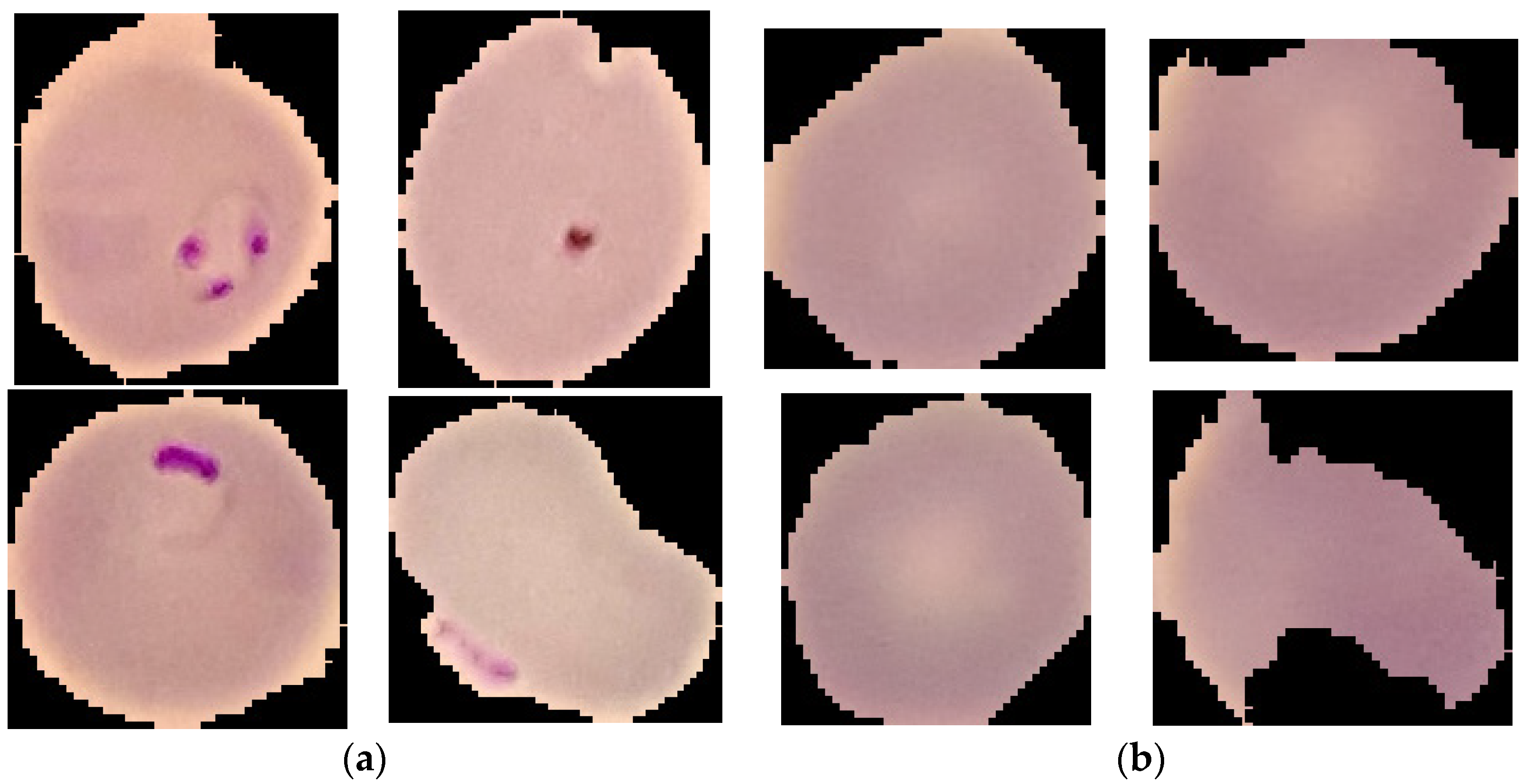 Electronics 11 02040 g001 550