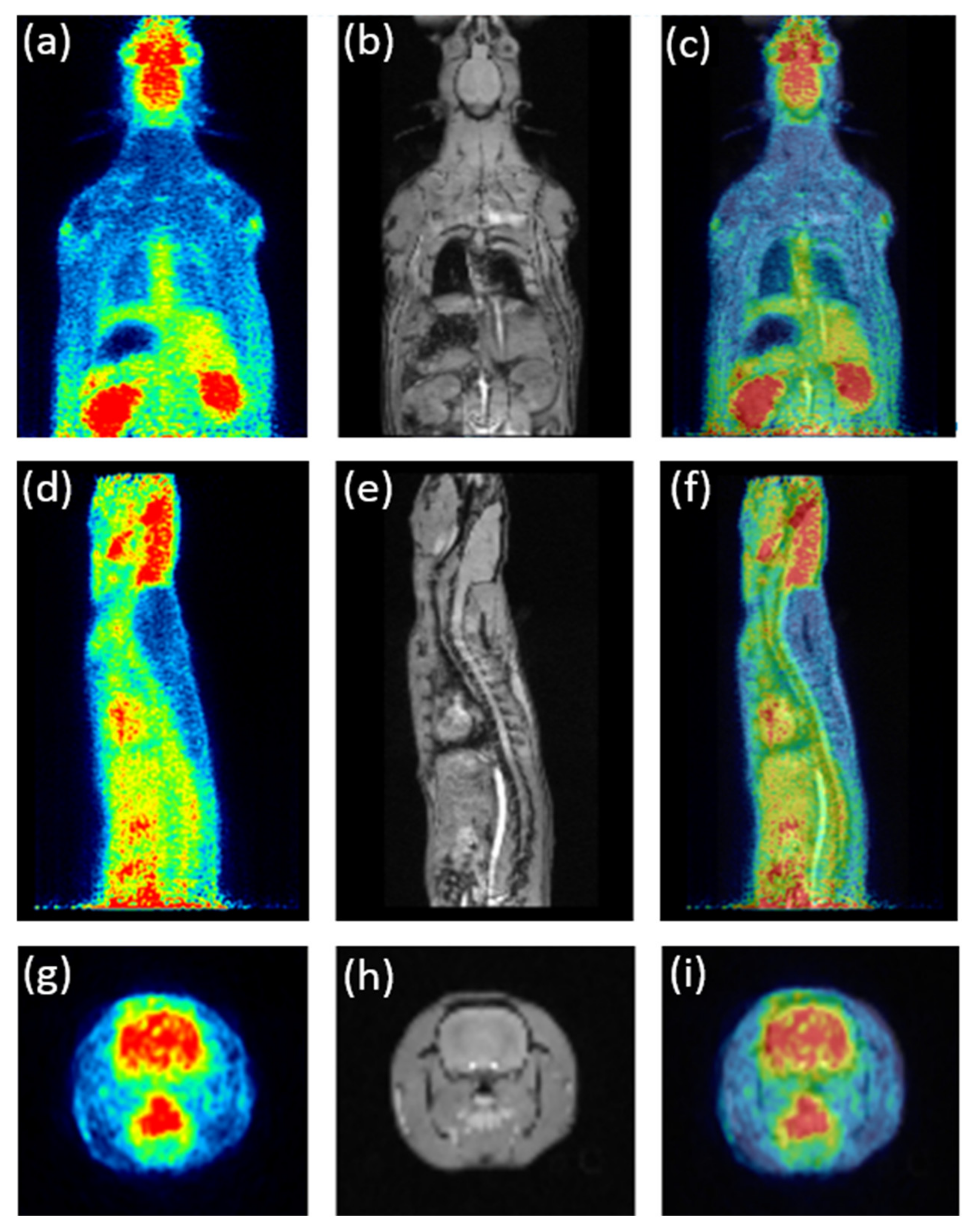 Electronics 11 02194 g011 Electronics 11 02194 g011