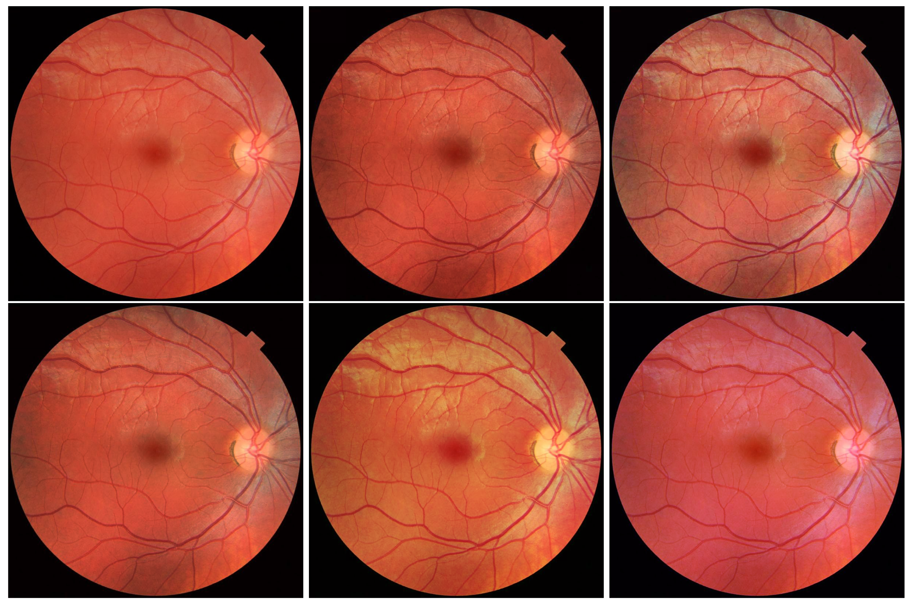 Electronics 11 02248 g019 550