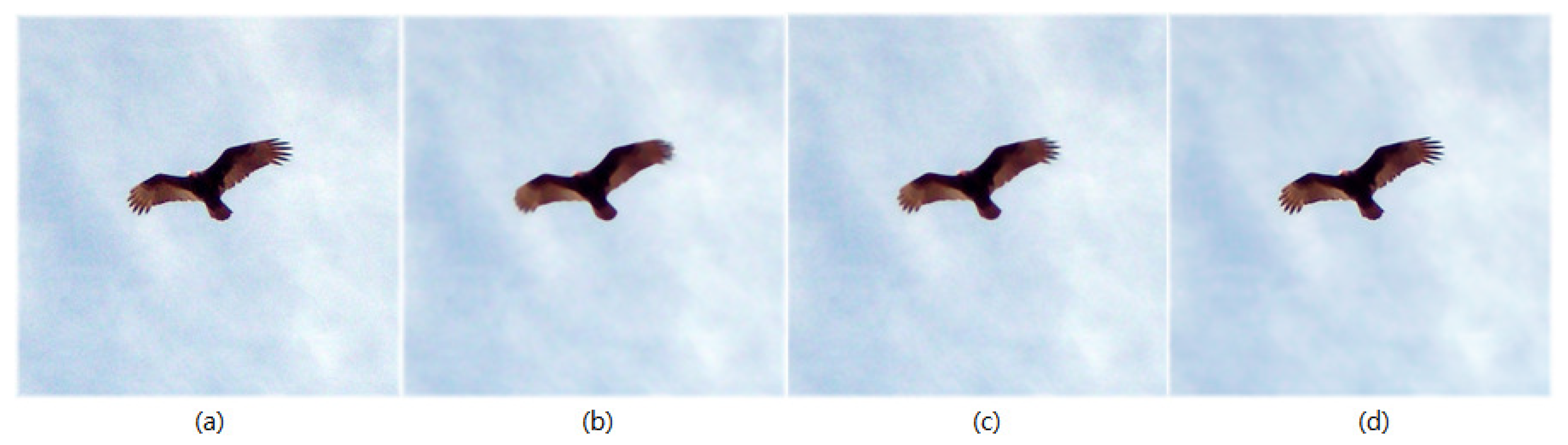 Electronics 11 02372 g001