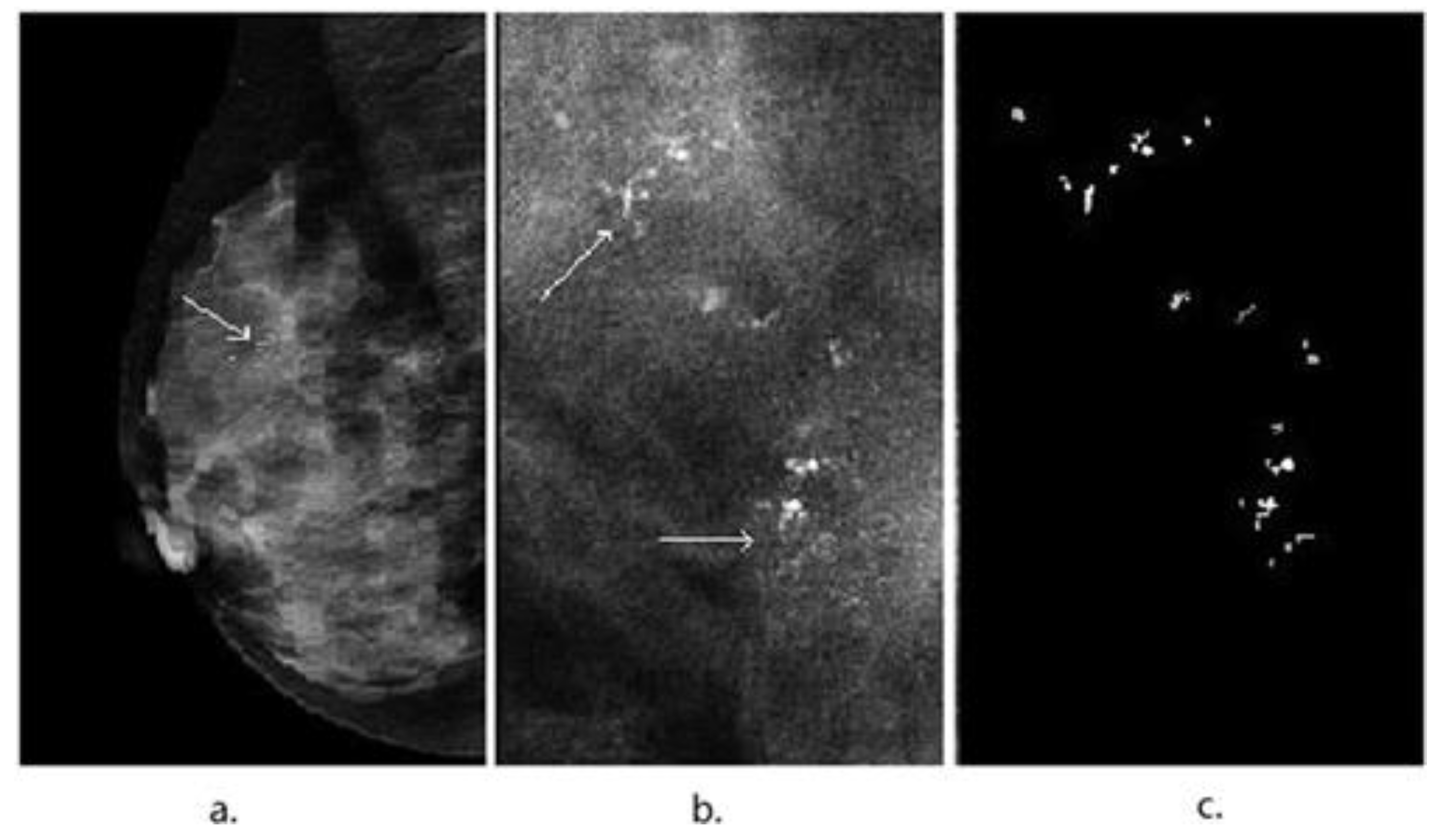 Electronics 11 02435 g002 Electronics 11 02435 g002
