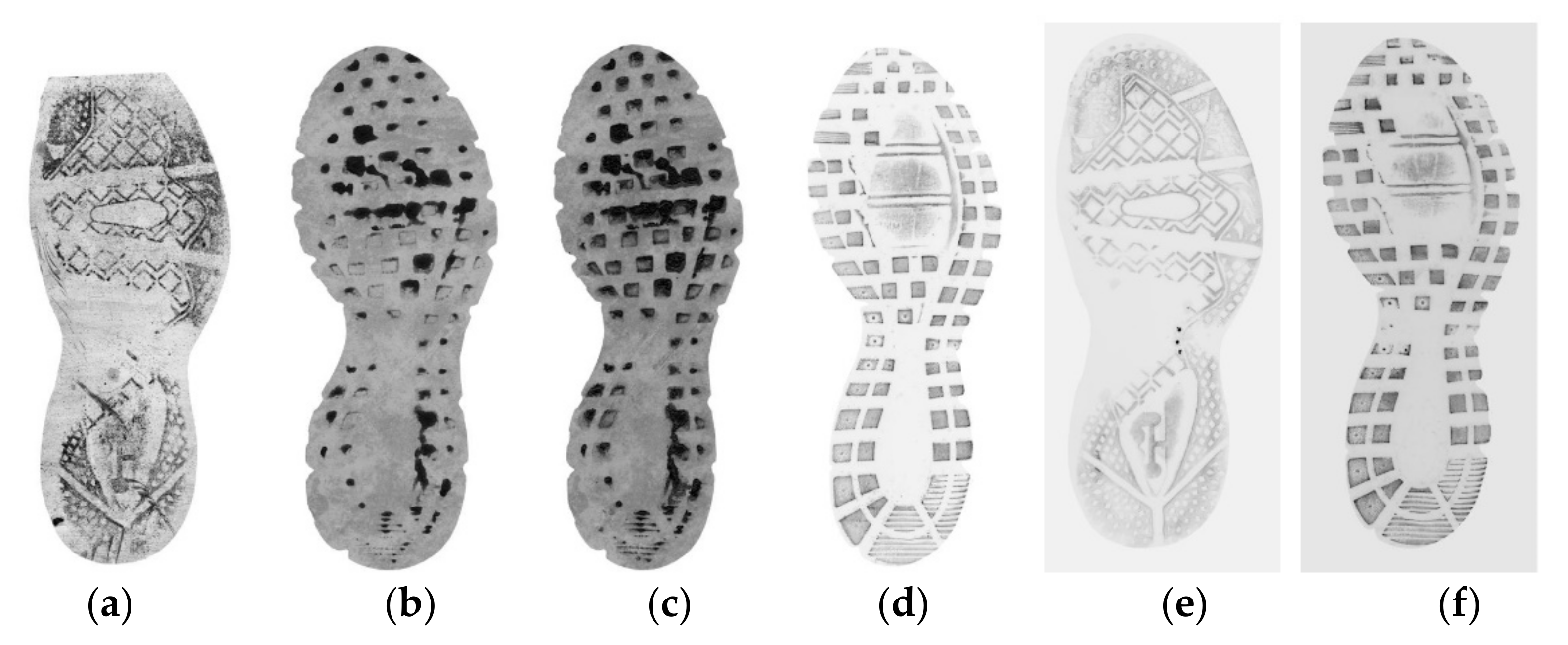 A simulated crime scene footwear impression database for teaching and  research purposes - Lin - 2022 - Journal of Forensic Sciences - Wiley  Online Library