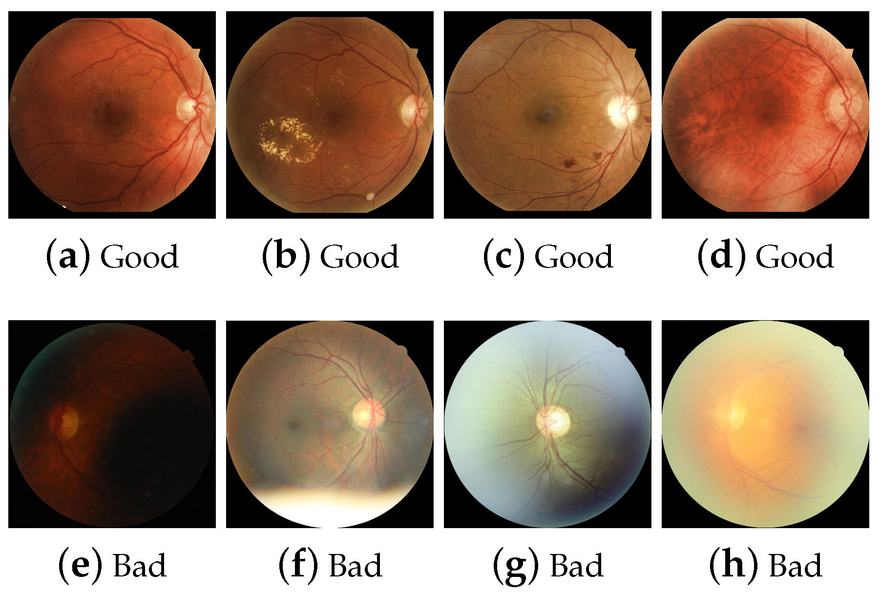 Electronics 11 02564 g005 550