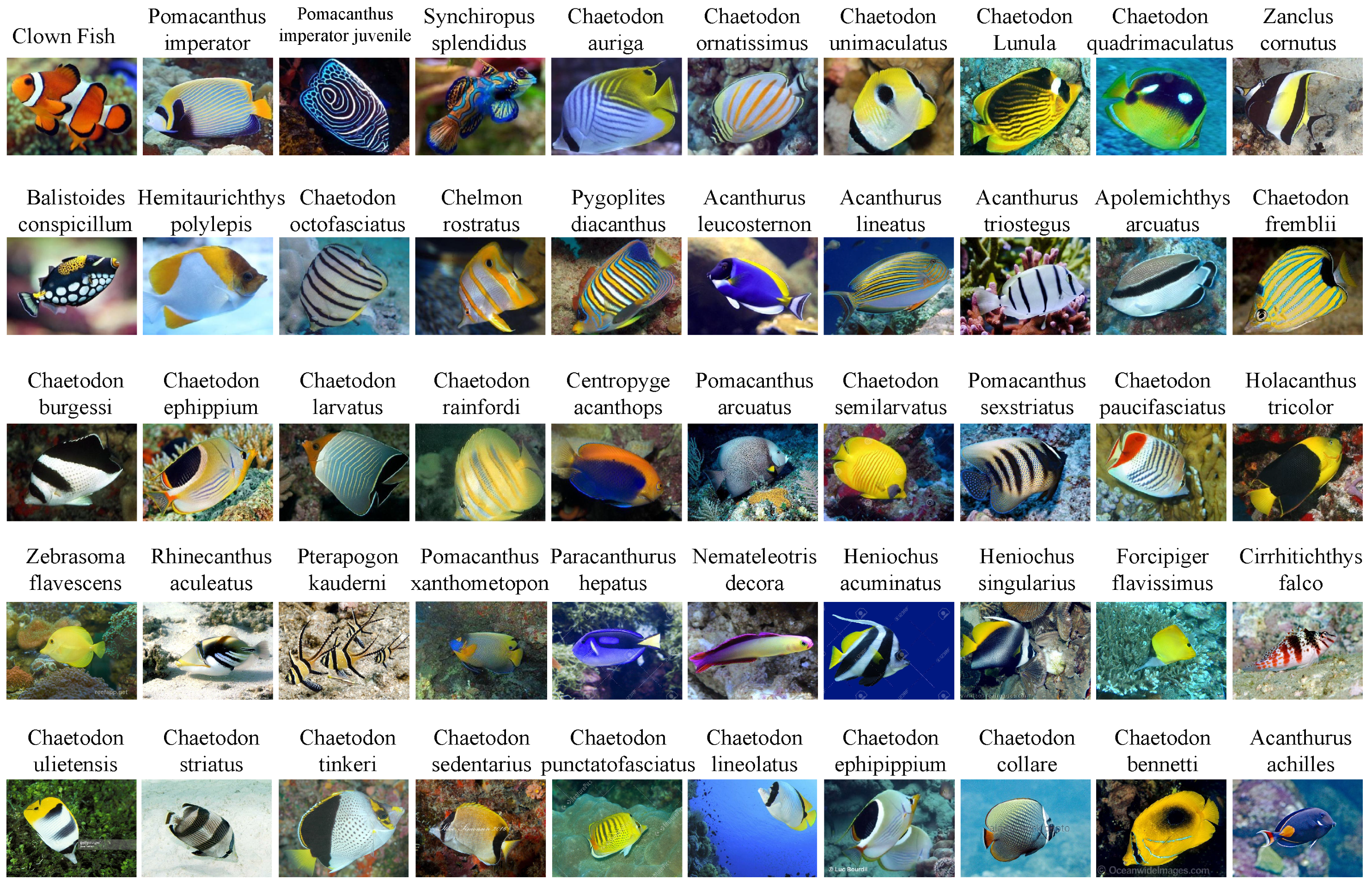 Electronics 11 02701 g005 550