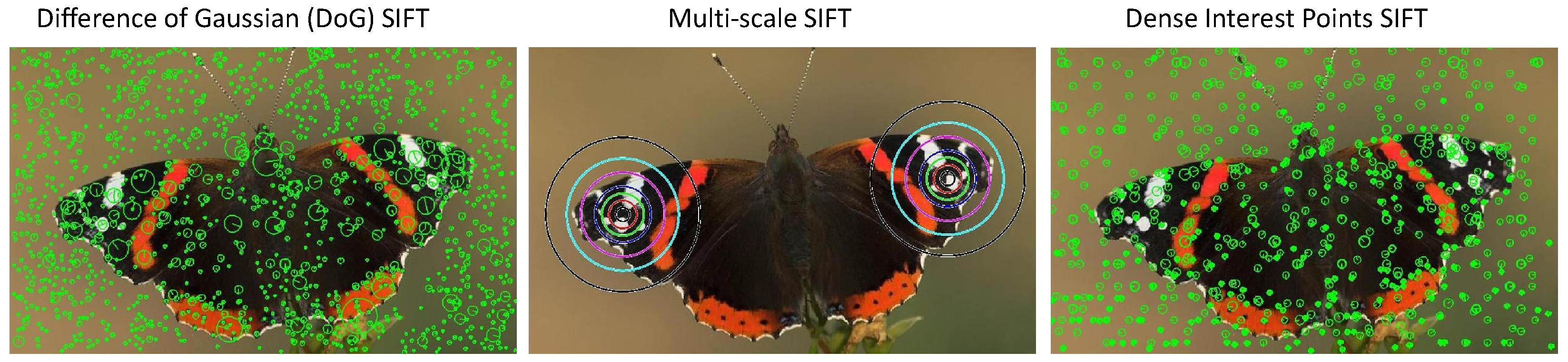 Electronics 11 02701 g008 550