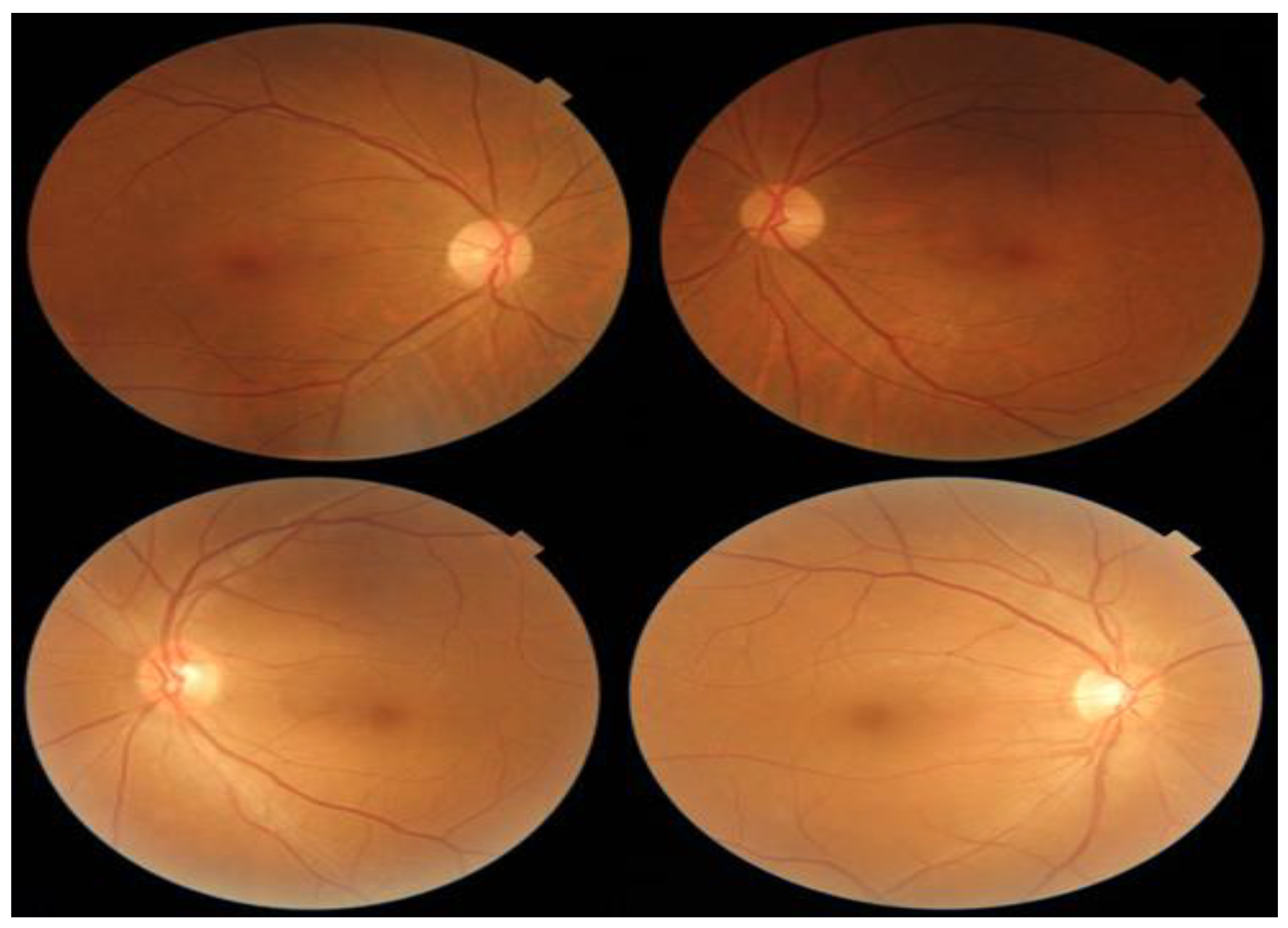 Electronics 11 02740 g003