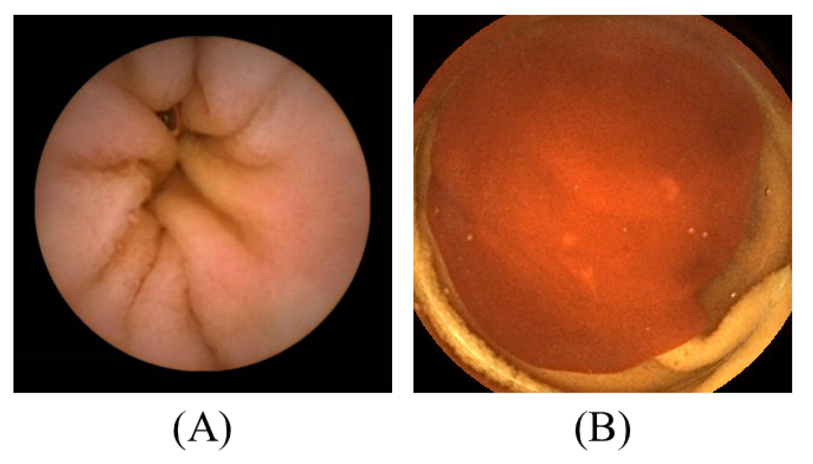 Electronics 11 02747 g0a2 550