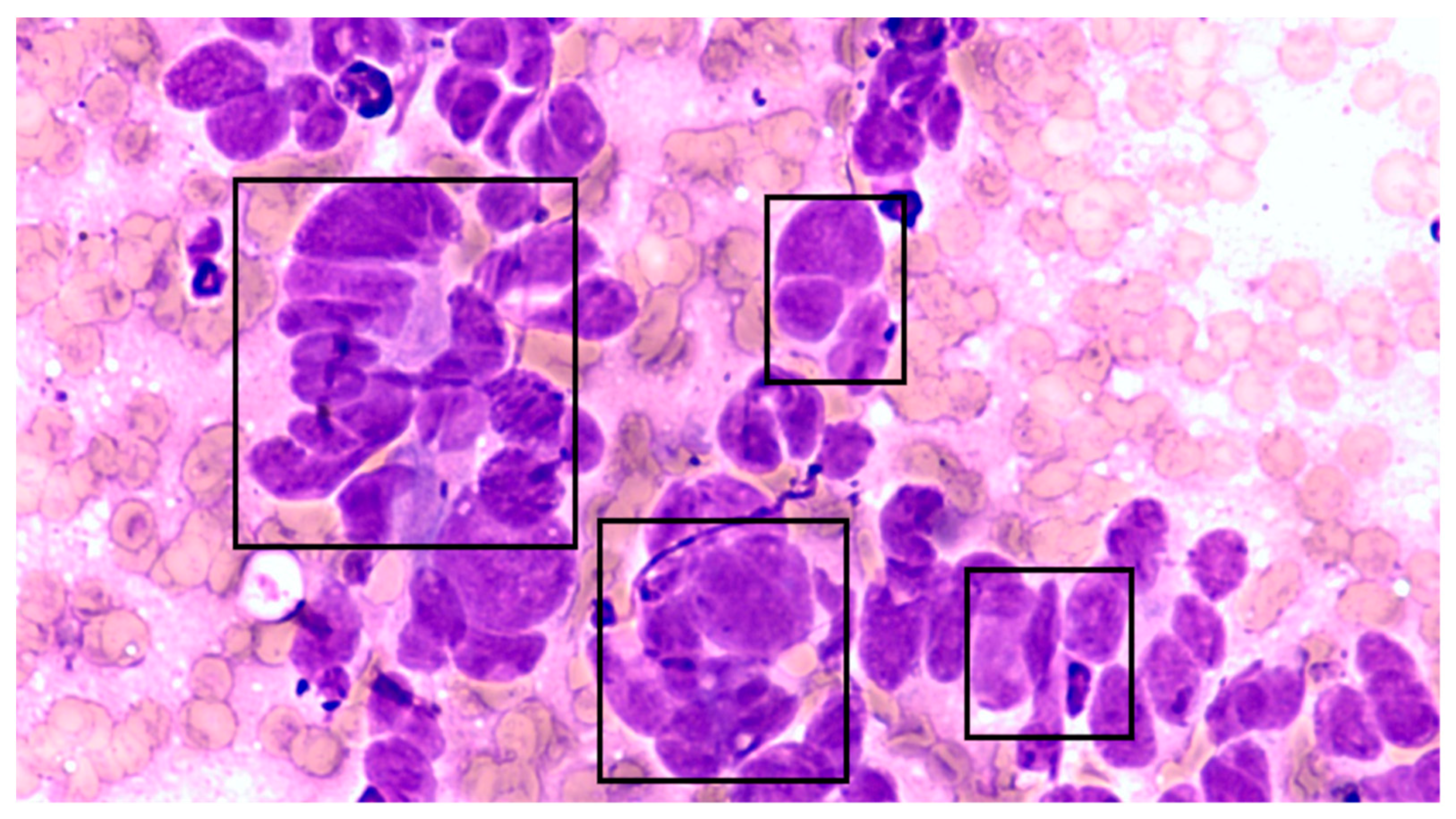 Electronics 11 02767 g004