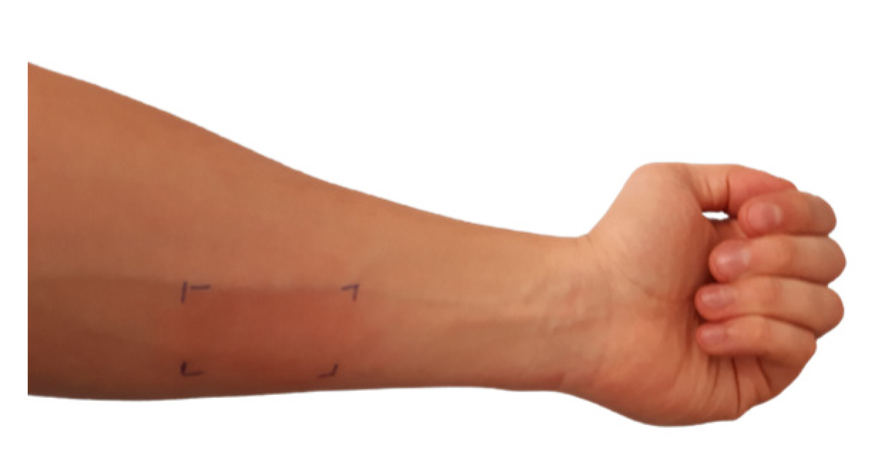 Electronics 11 02958 g010