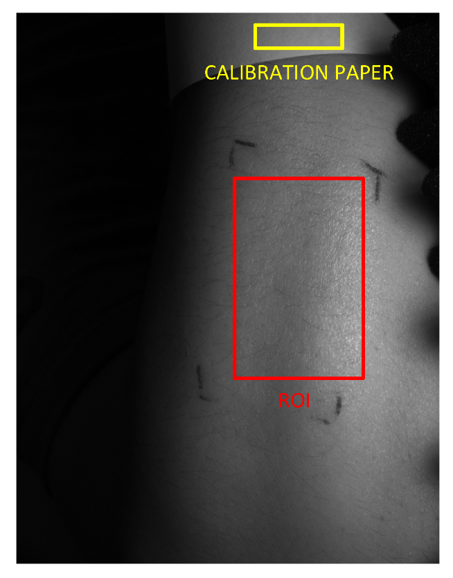 Electronics 11 02958 g012