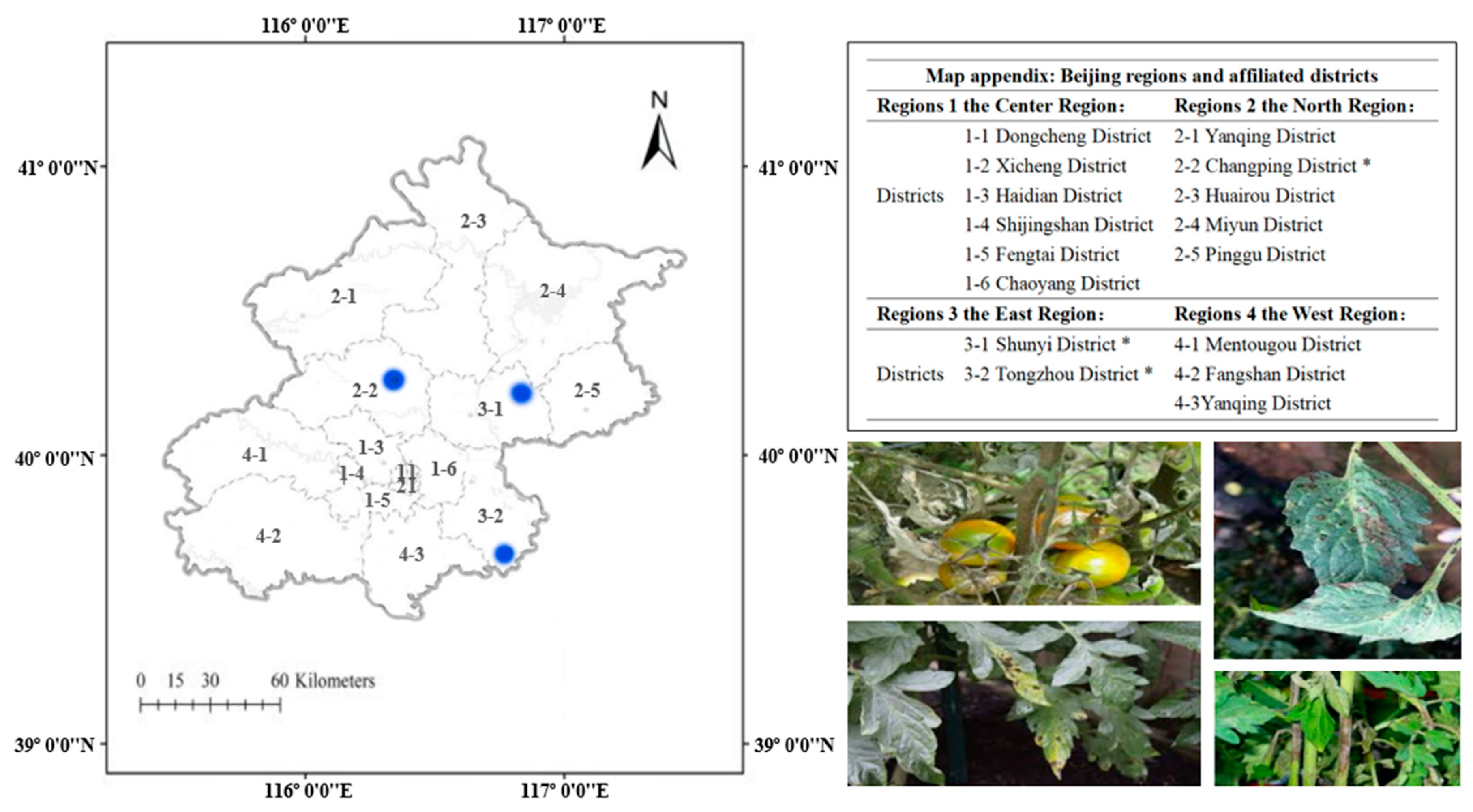 Electronics 11 03174 g001 Electronics 11 03174 g001