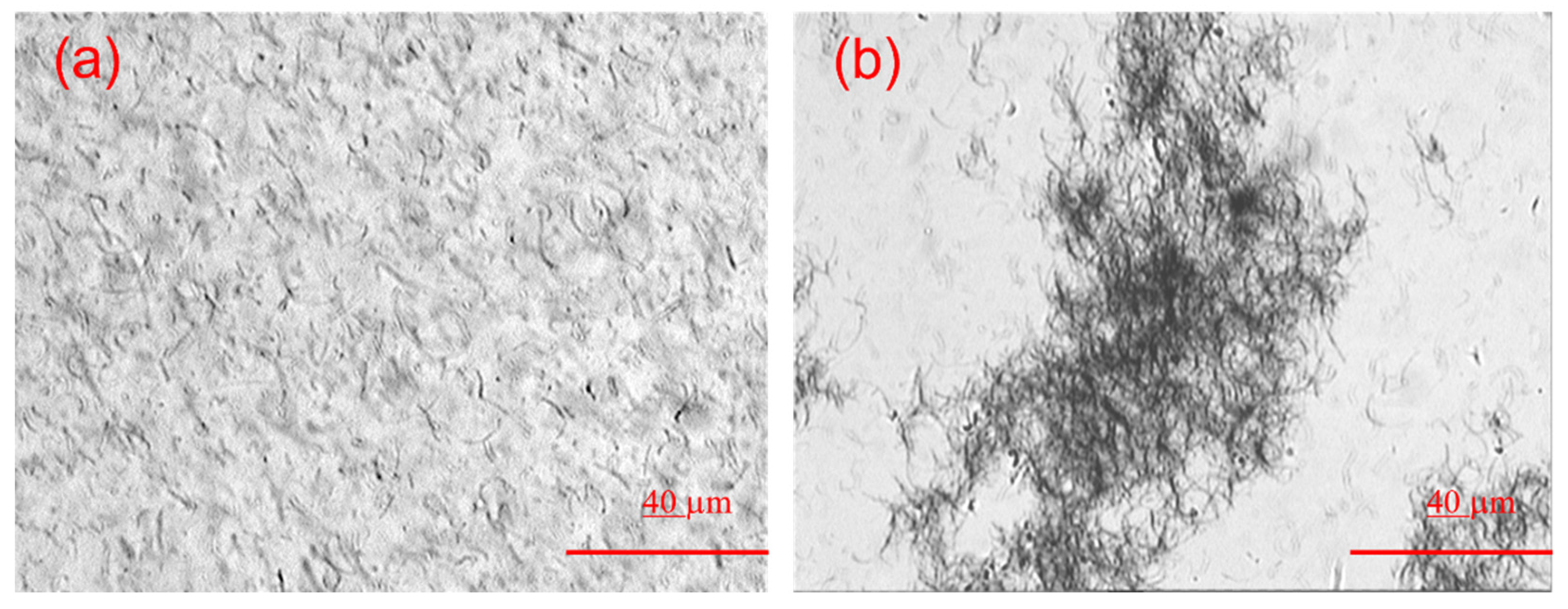 Electronics 11 03180 g003
