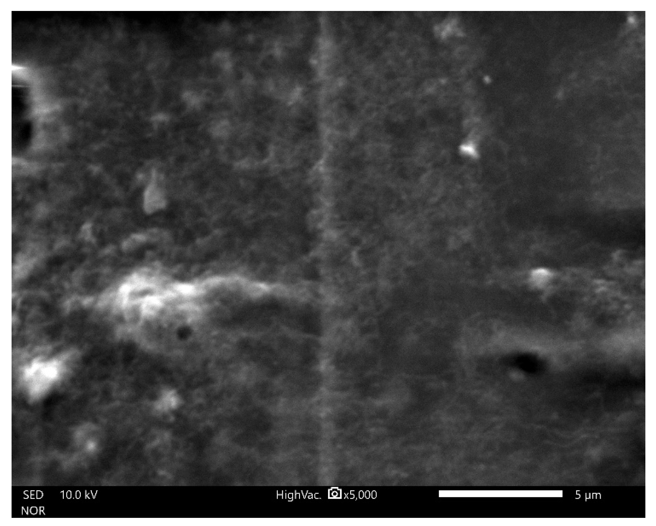 Electronics 11 03180 g005