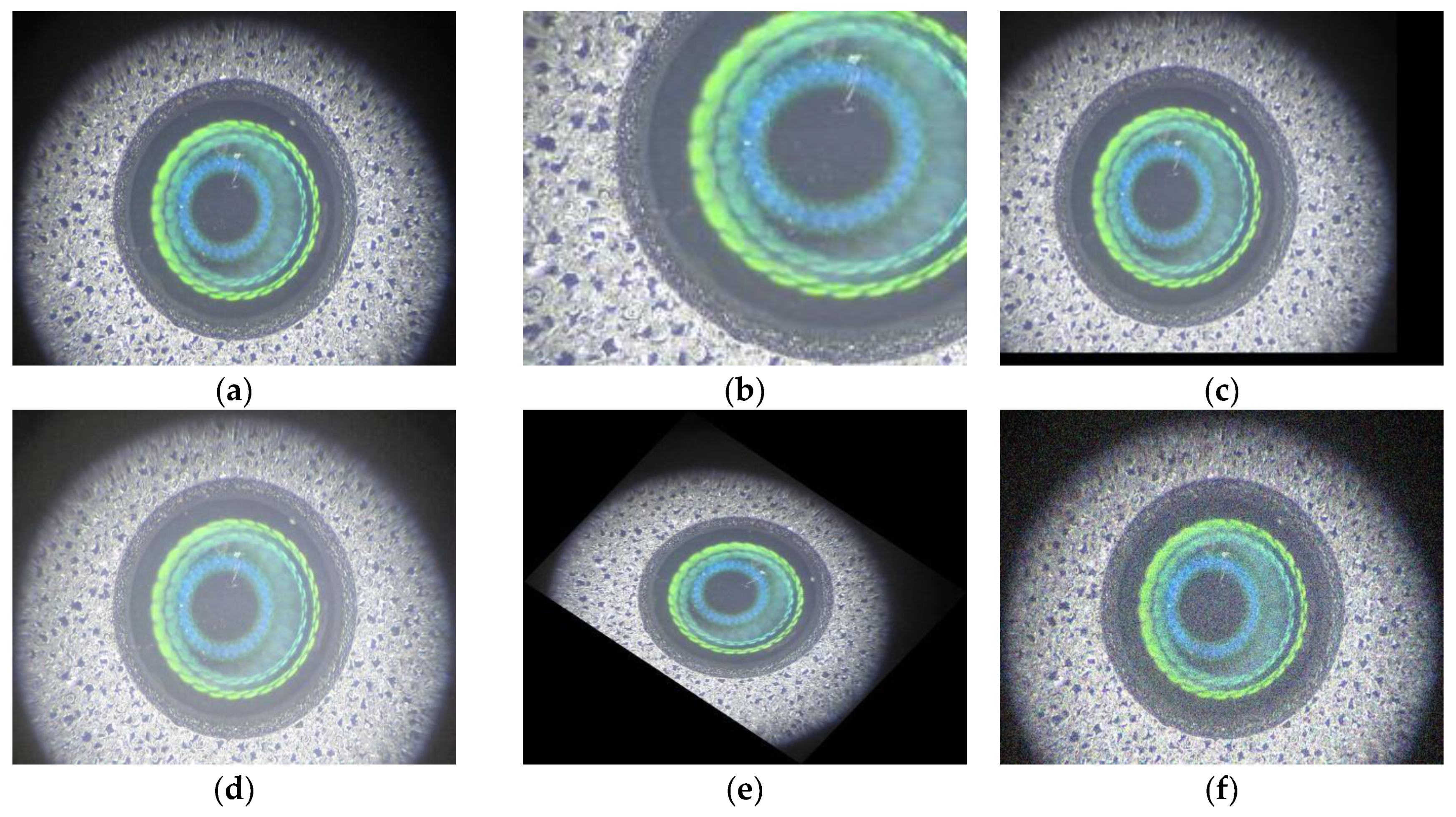 Electronics 11 03189 g003