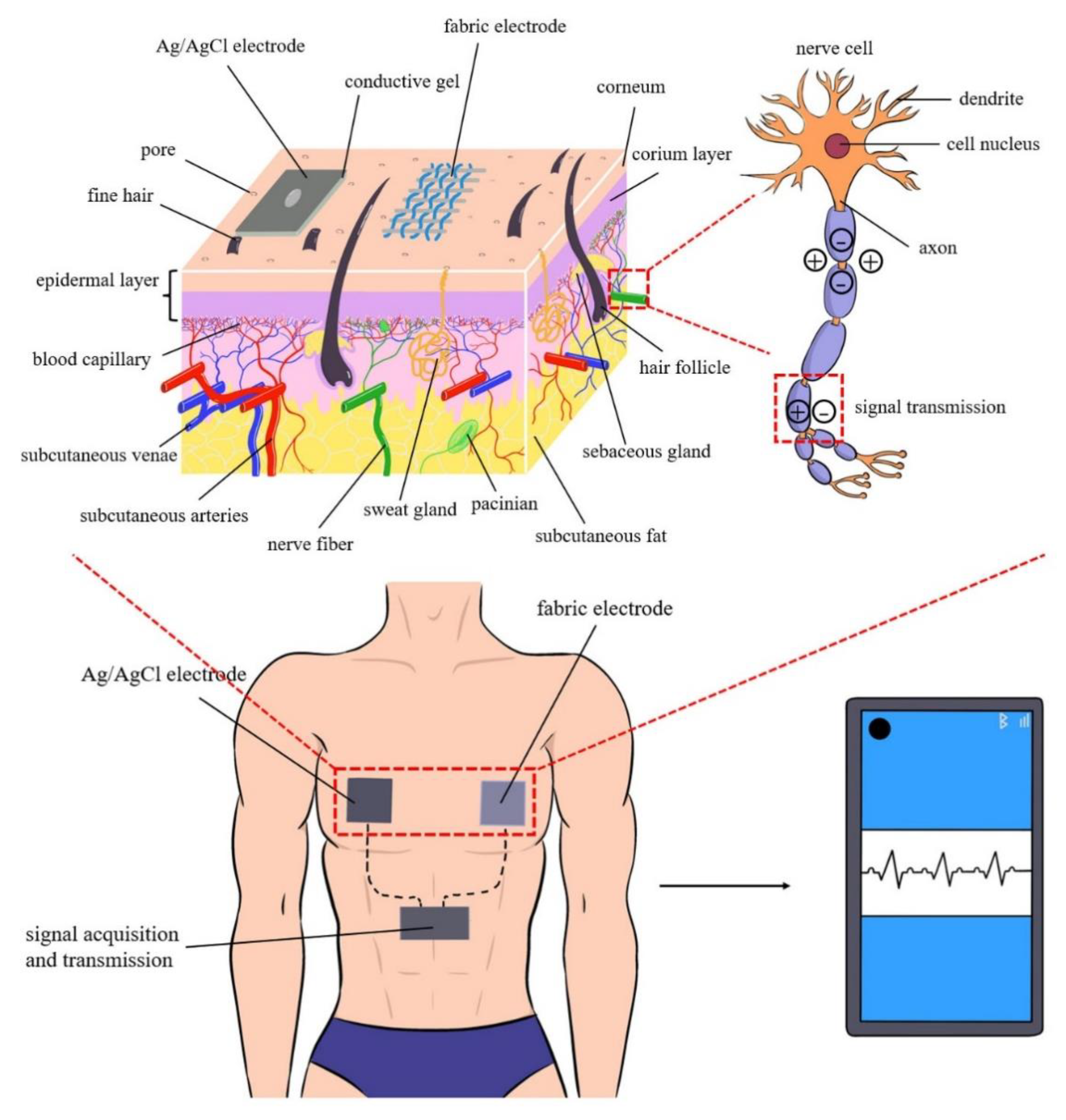 Electronics 11 03266 g001 Electronics 11 03266 g001