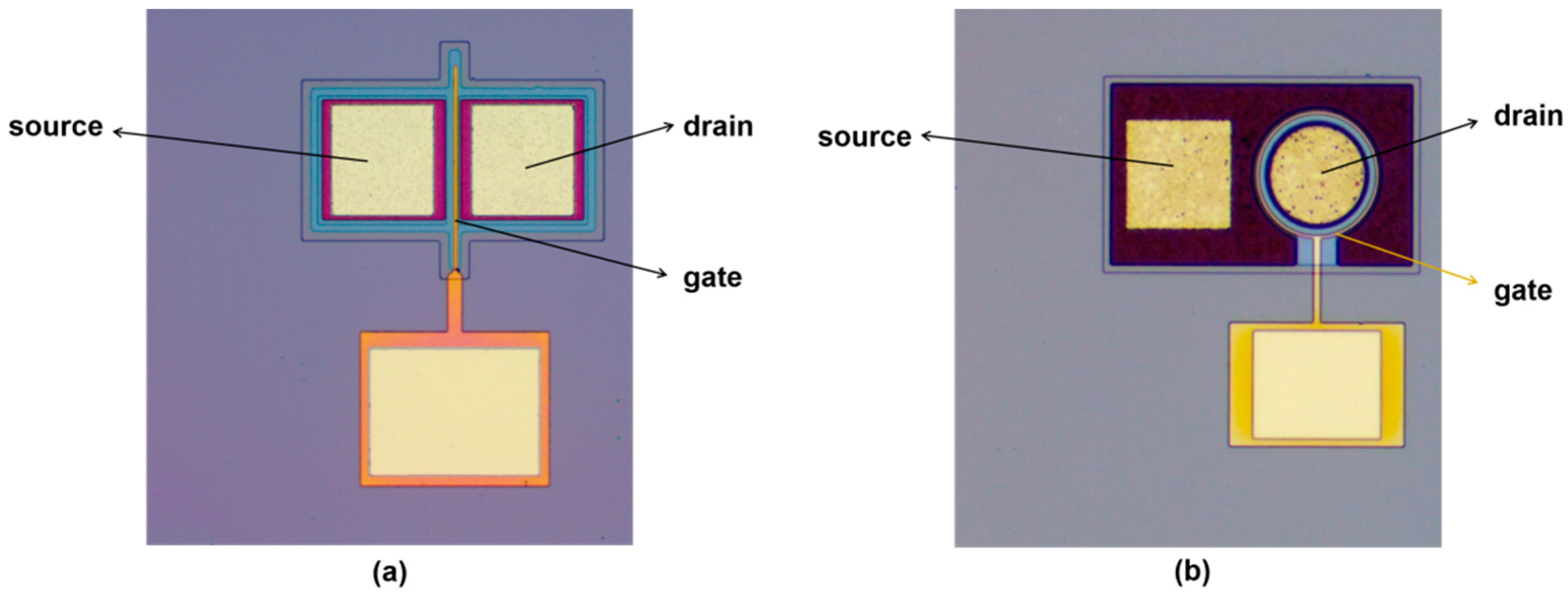 Electronics 11 03329 g003
