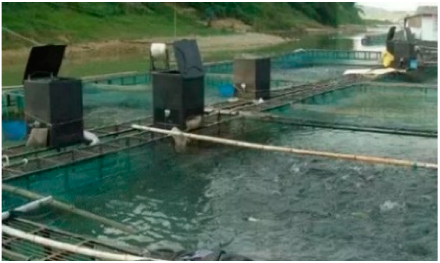 AIoT Precision Feeding Management System