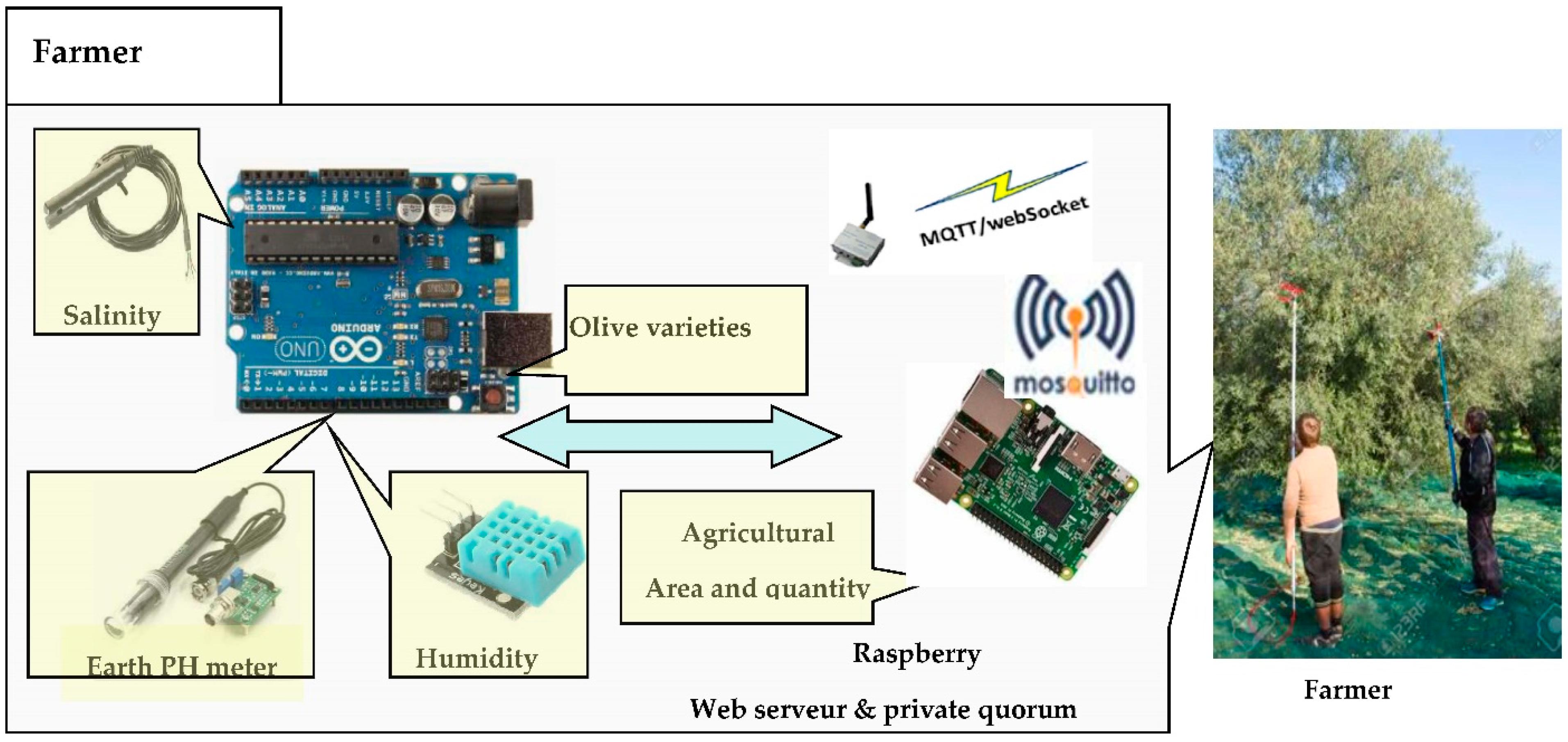 Electronics 11 03394 g006