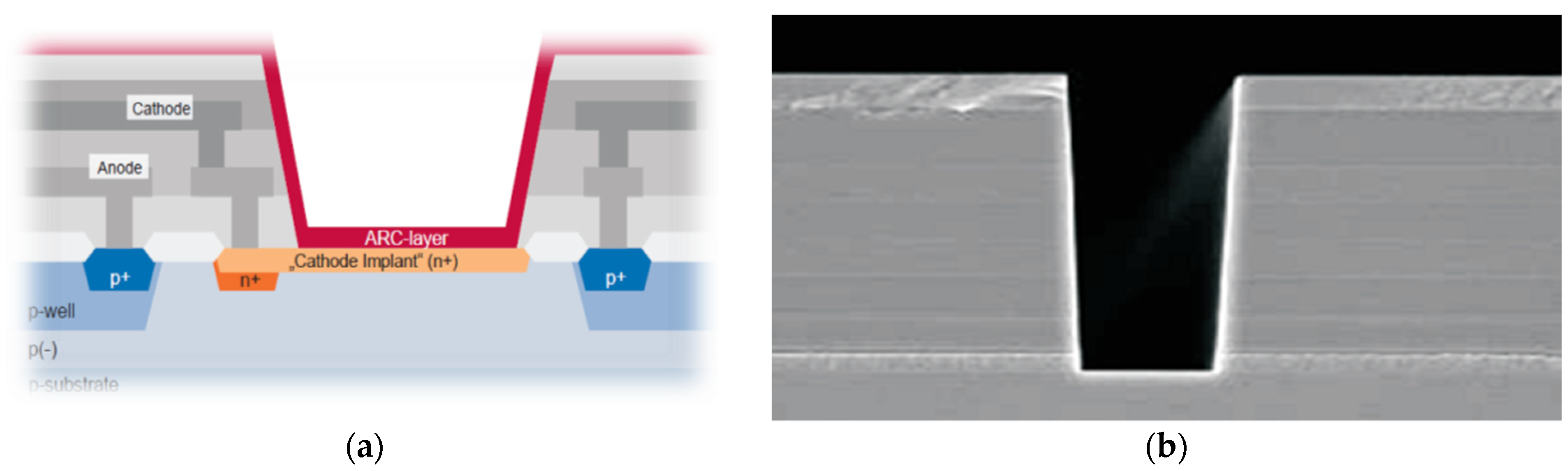 Electronics 11 03486 g011