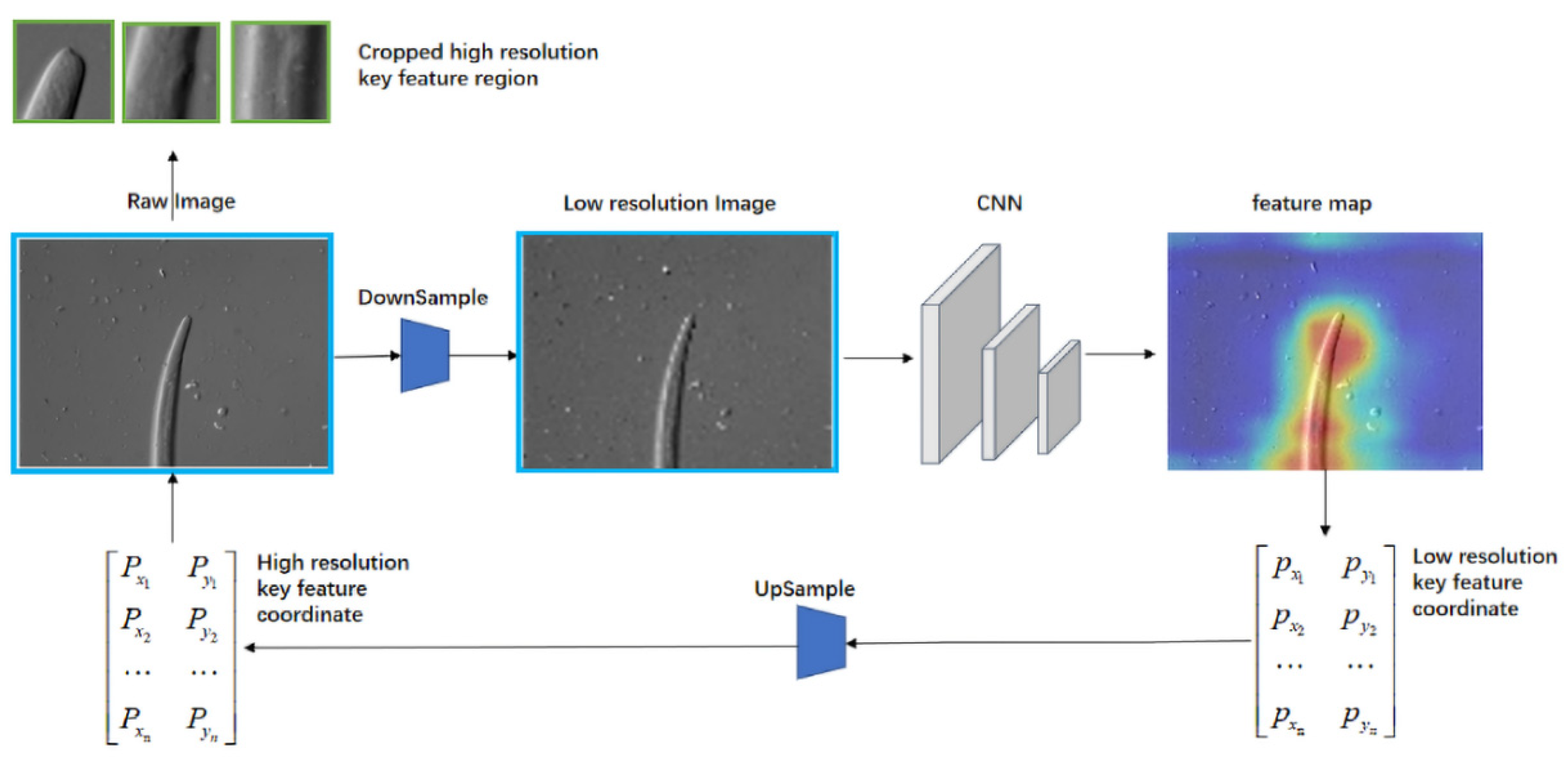 Fast Self-Attention Deep Detection Network Based on Weakly ...