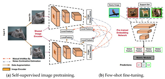 Few-Shot Classification with Dual-Model Deep Feature Extraction and ...