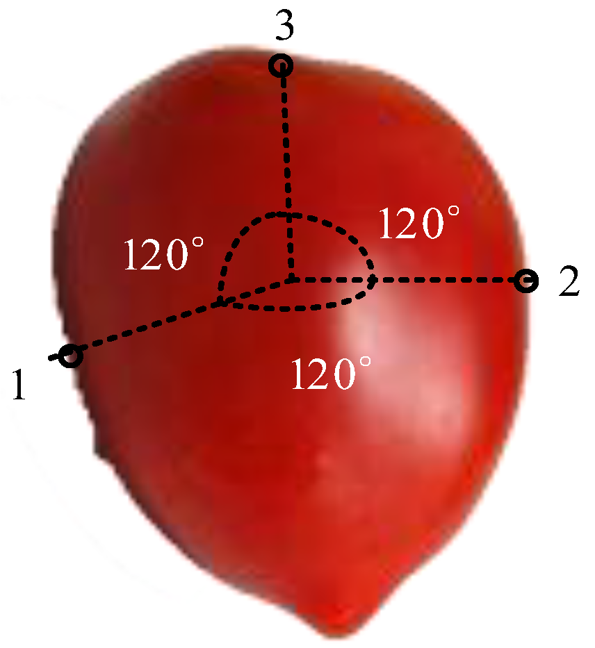 Electronics 11 03504 g010