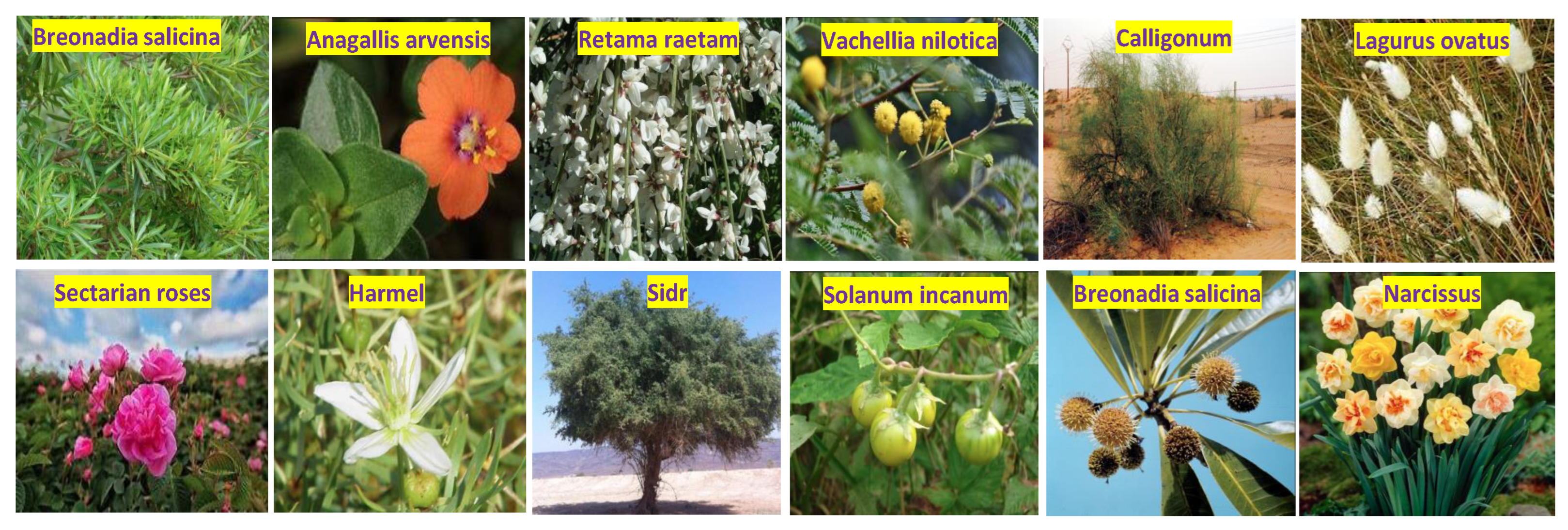 Electronics 11 03690 g005