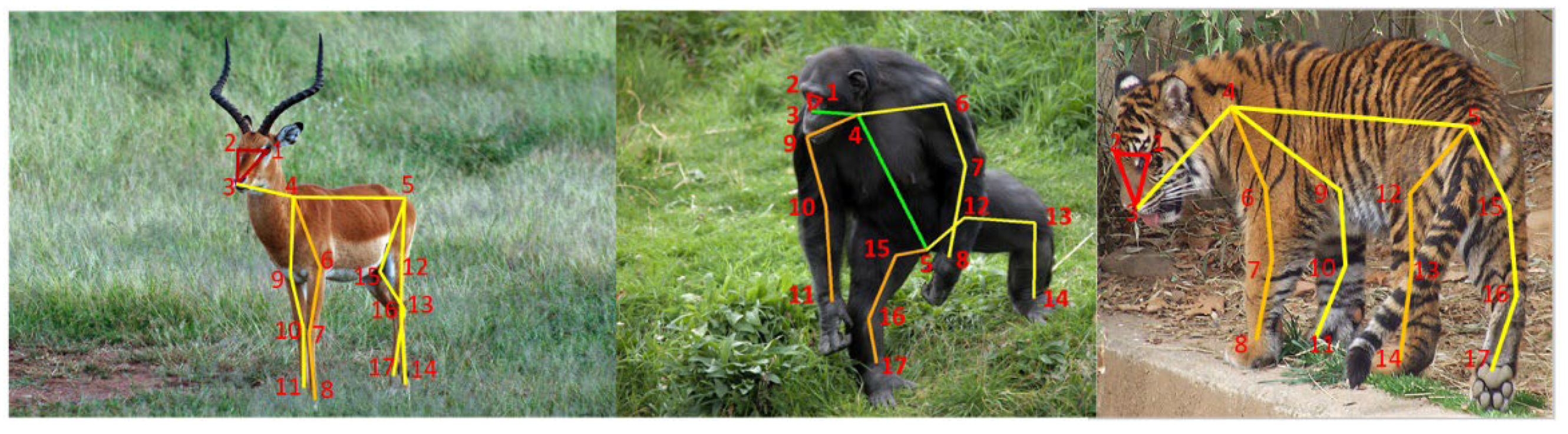 Electronics 11 03702 g009 Electronics 11 03702 g009