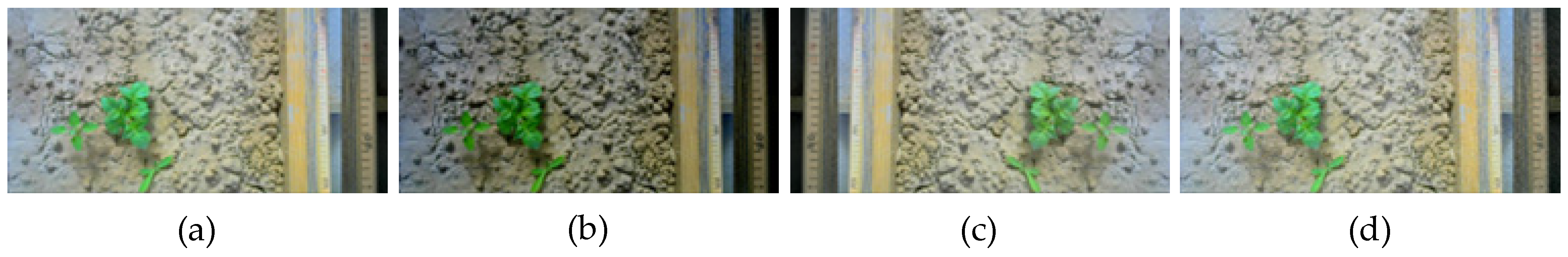 Electronics 11 03709 g002 Electronics 11 03709 g002