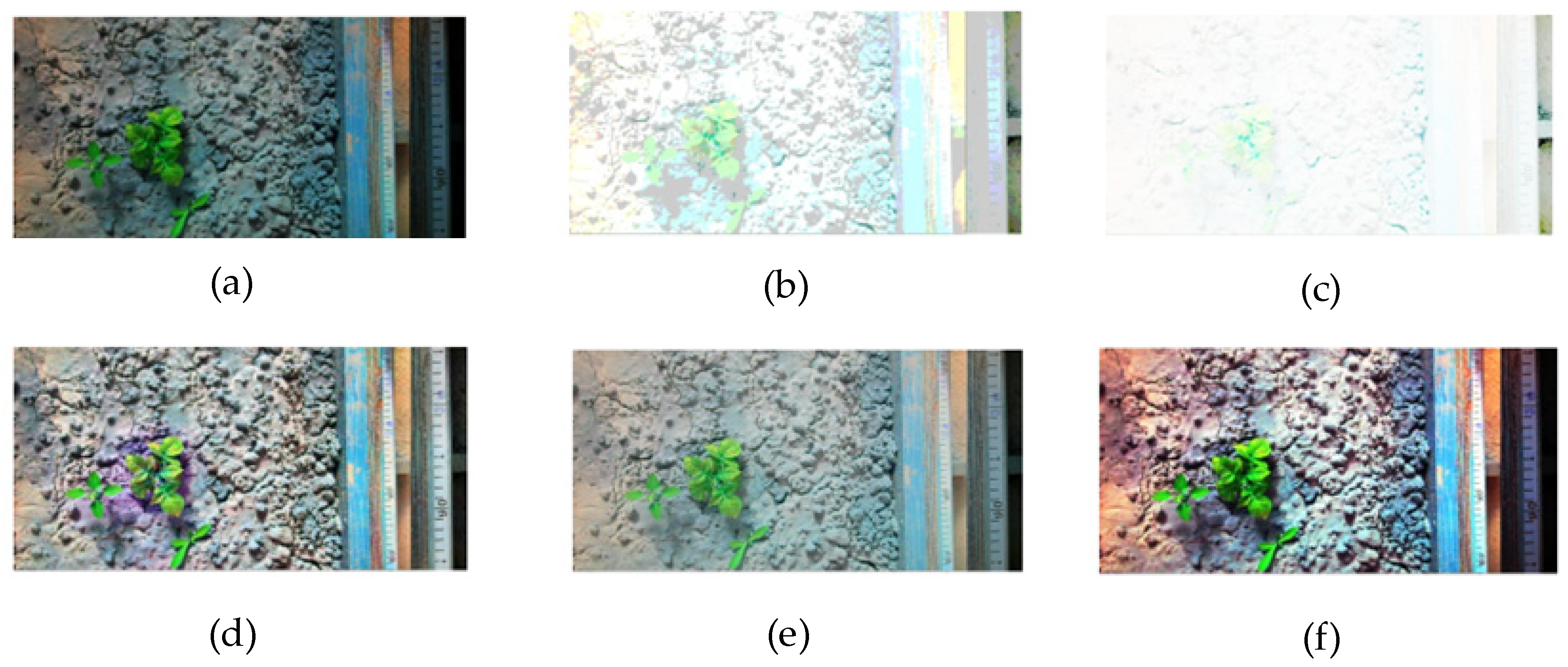 Electronics 11 03709 g003 Electronics 11 03709 g003