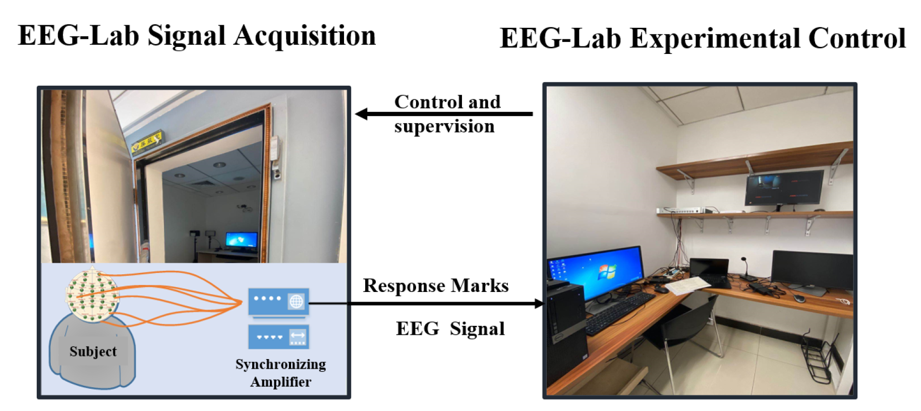 Electronics 11 03774 g002 Electronics 11 03774 g002