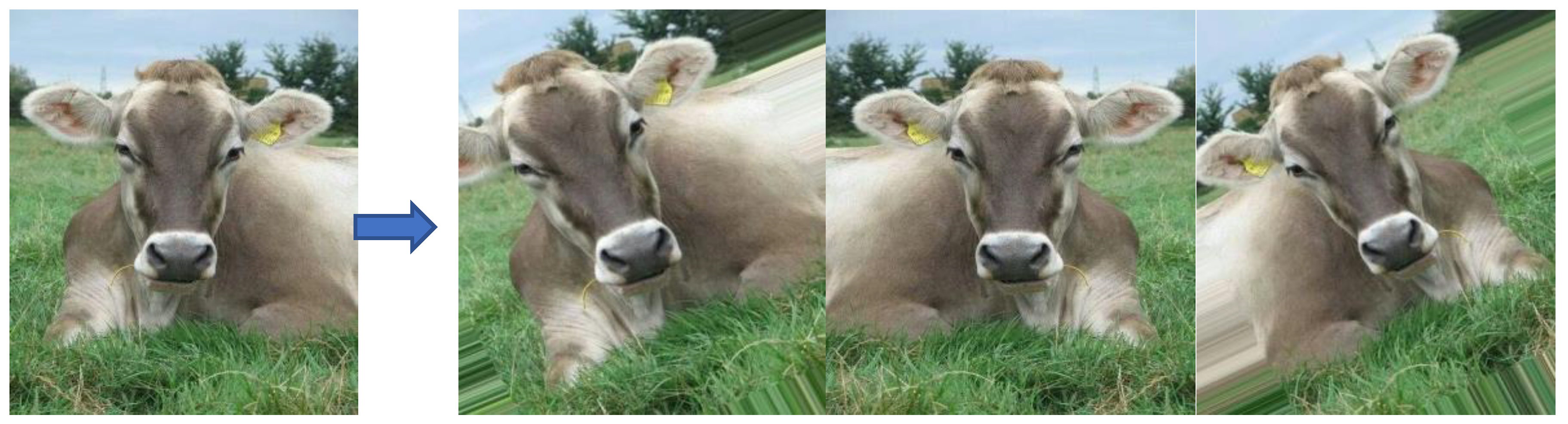 Electronics 11 03791 g008