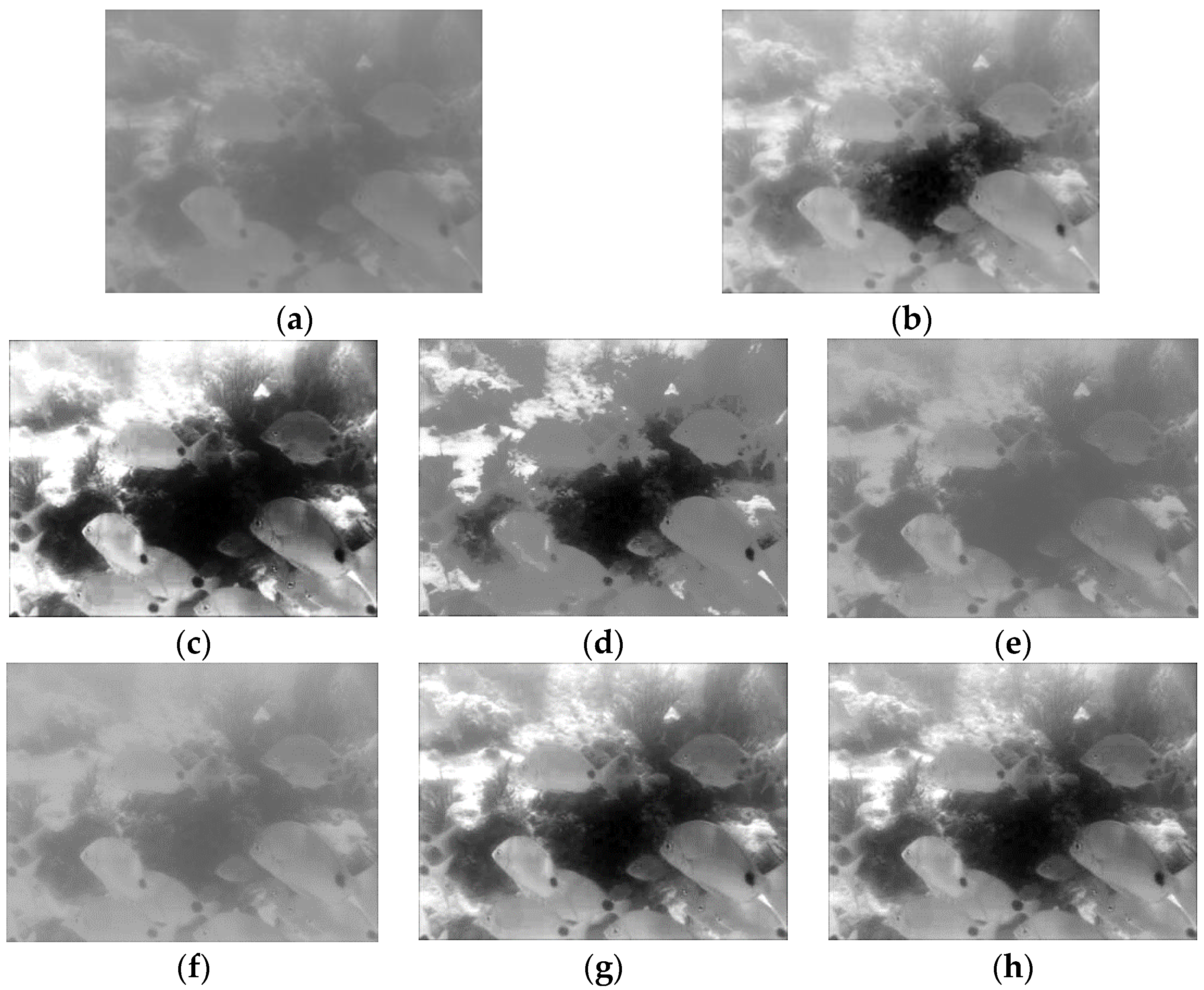 Electronics 11 03822 g010 Electronics 11 03822 g010