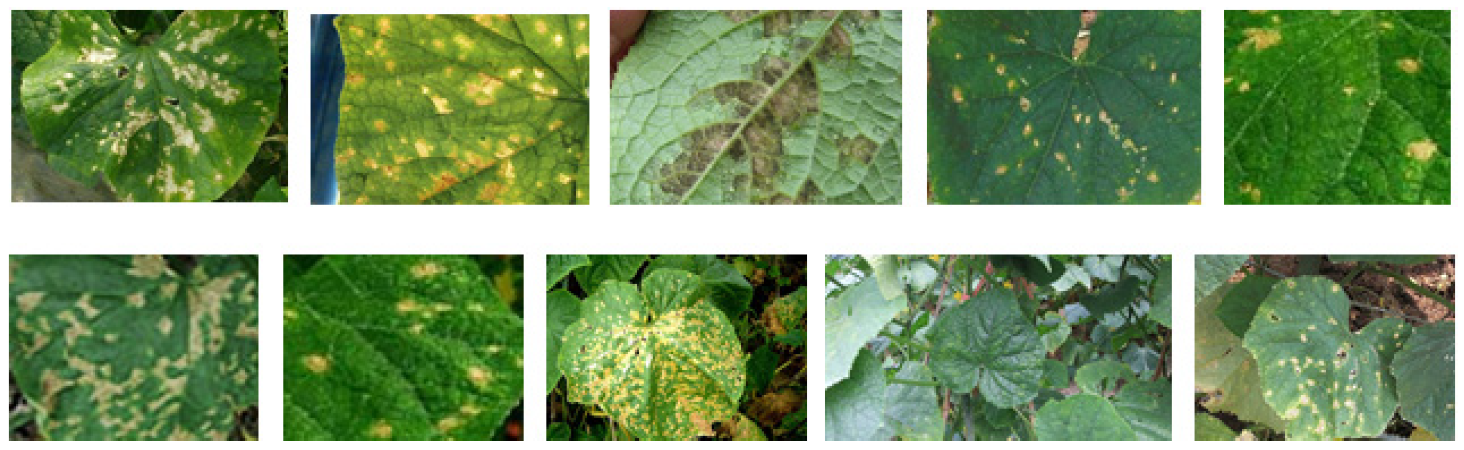 Electronics 11 03947 g001 Electronics 11 03947 g001