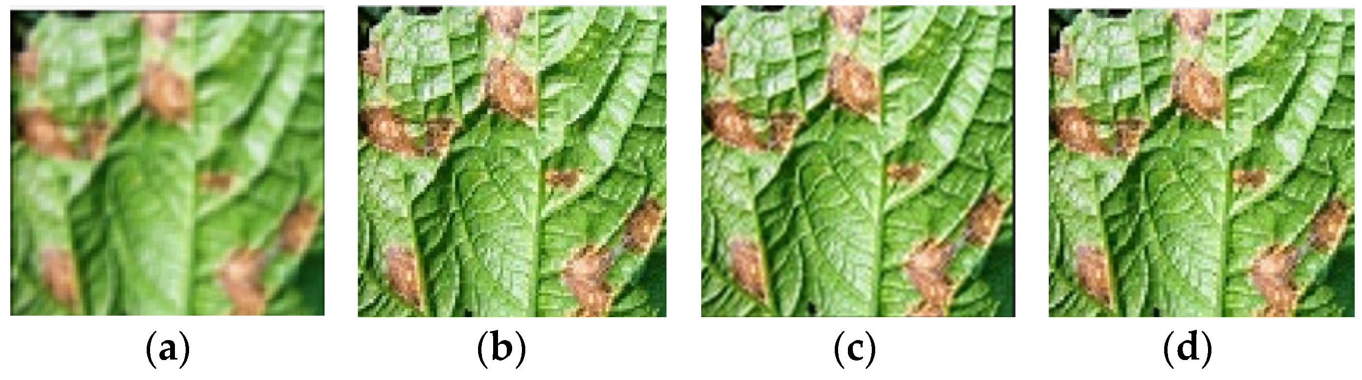 Electronics 11 03947 g003 Electronics 11 03947 g003