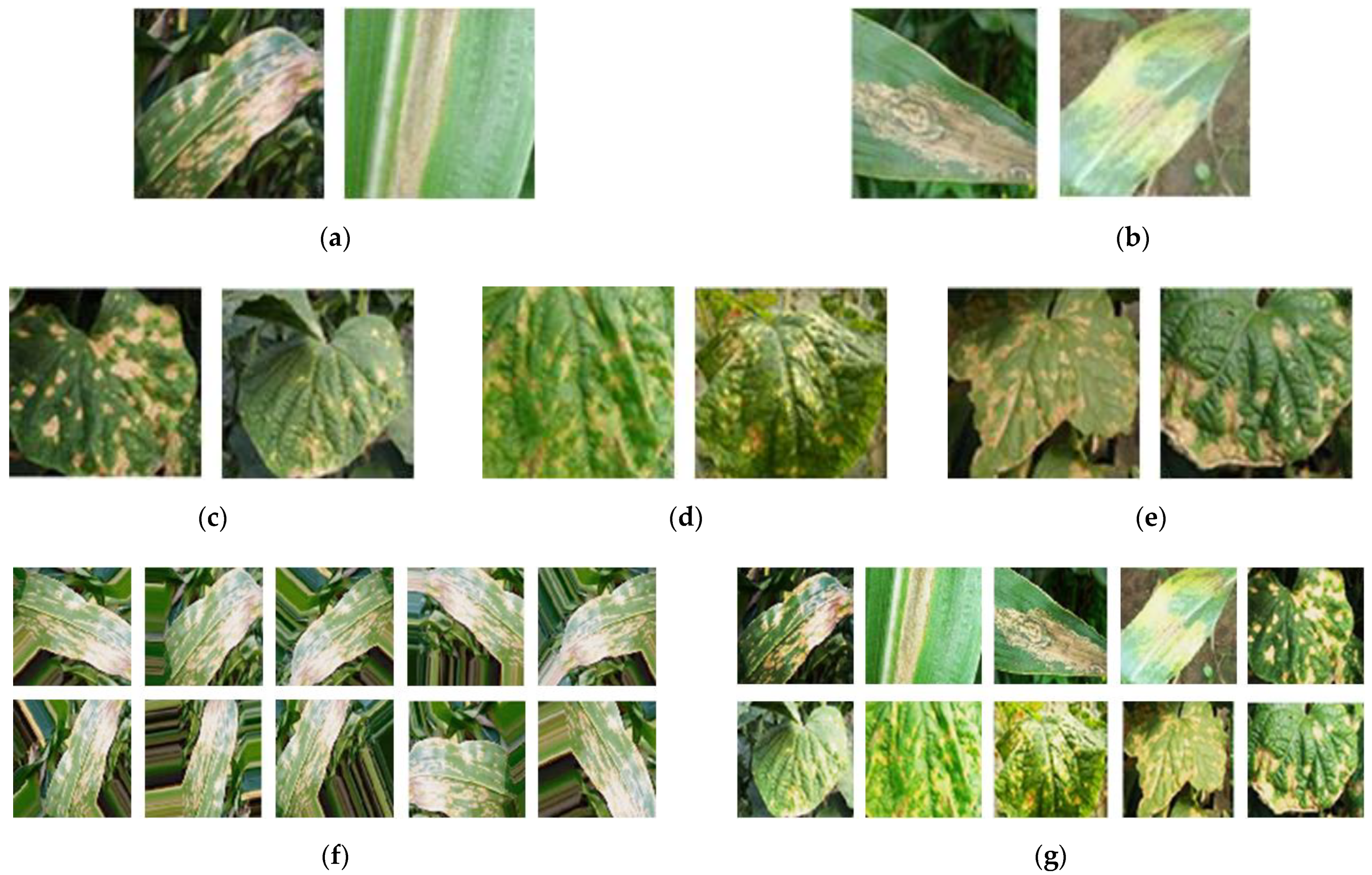 Electronics 11 03947 g006 Electronics 11 03947 g006