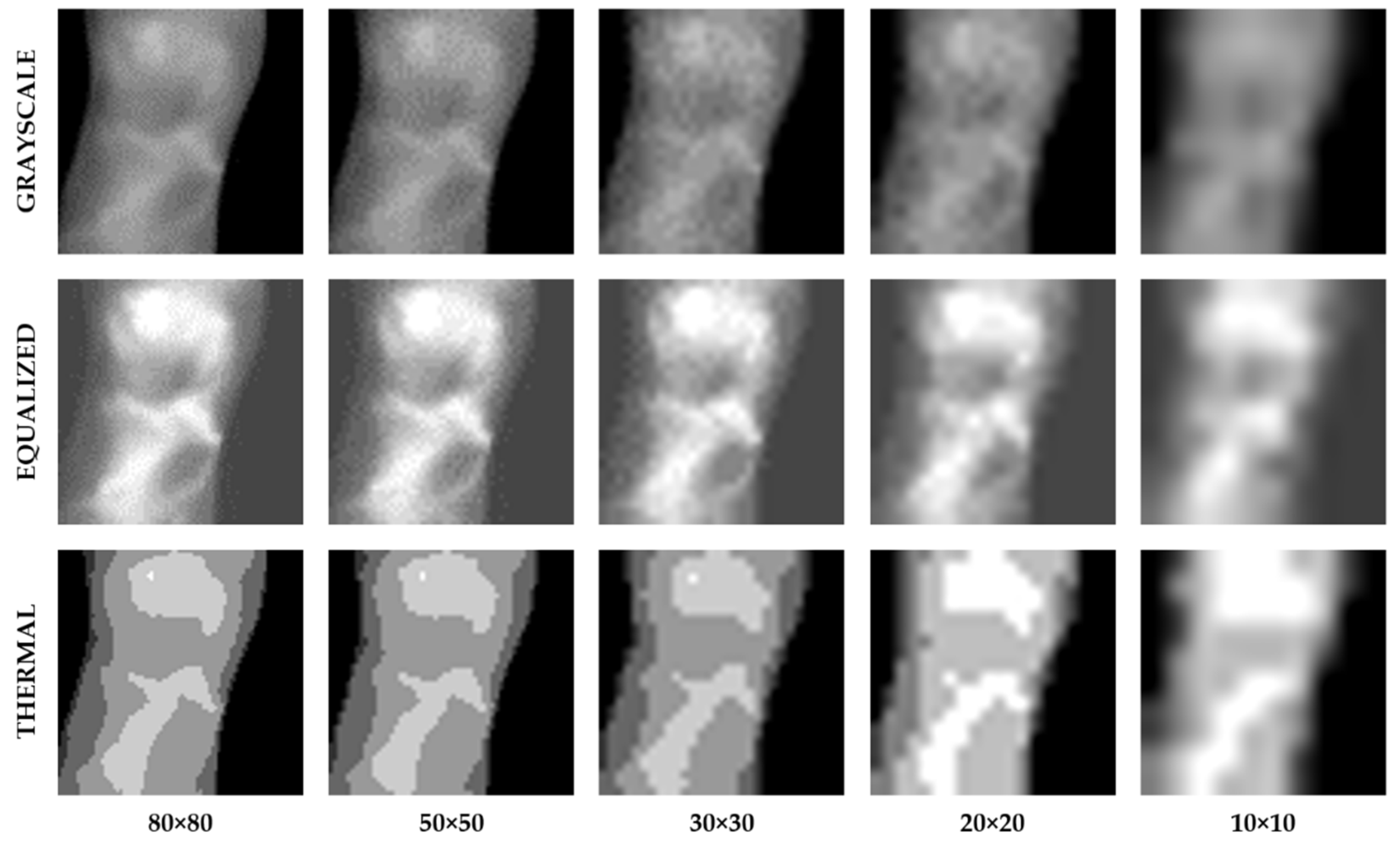 Electronics 11 03987 g006