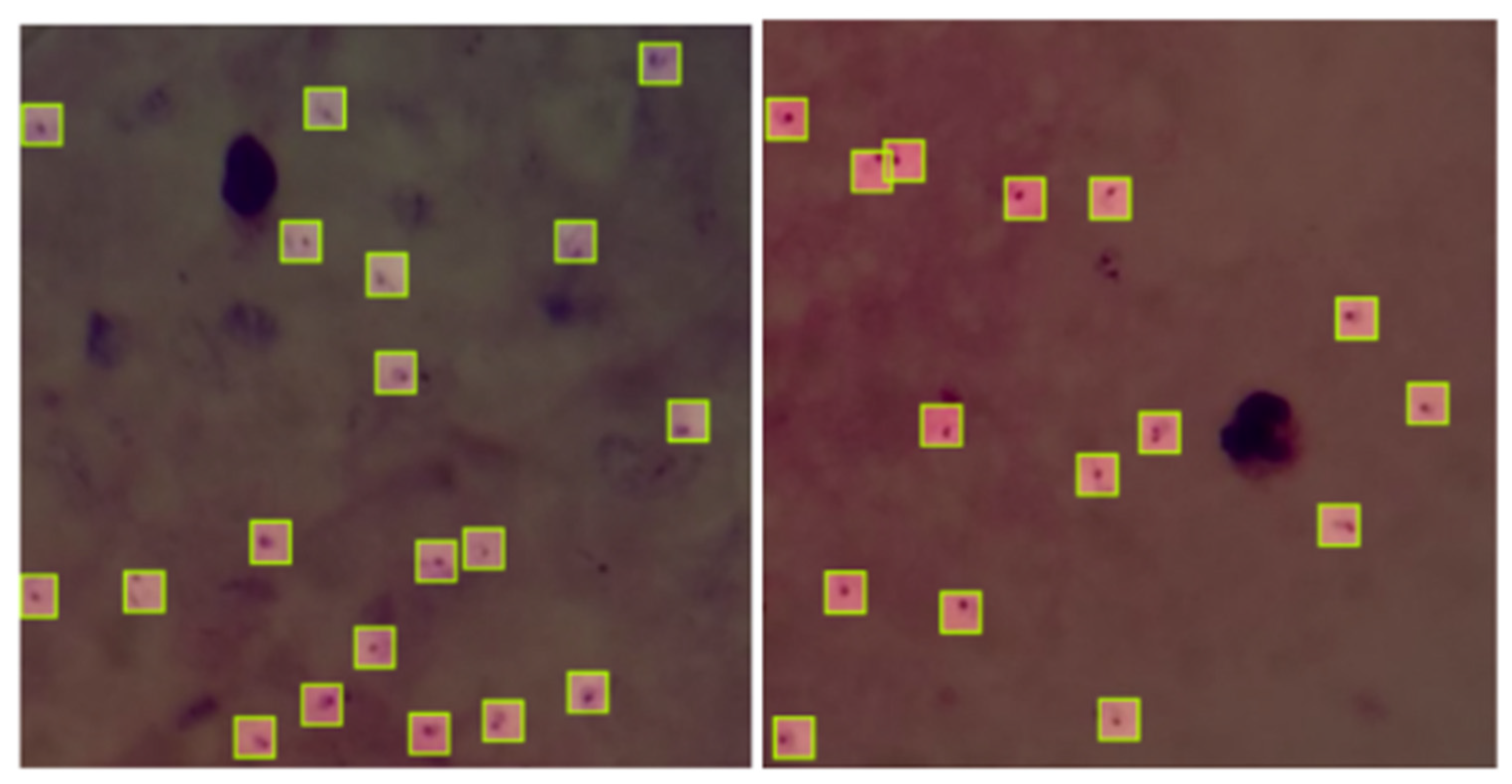 Electronics 11 03999 g003