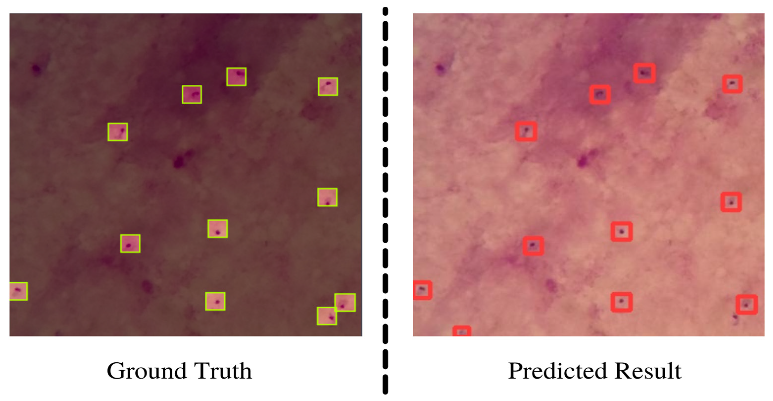 Electronics 11 03999 g009