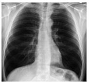 Electronics 11 04053 i002