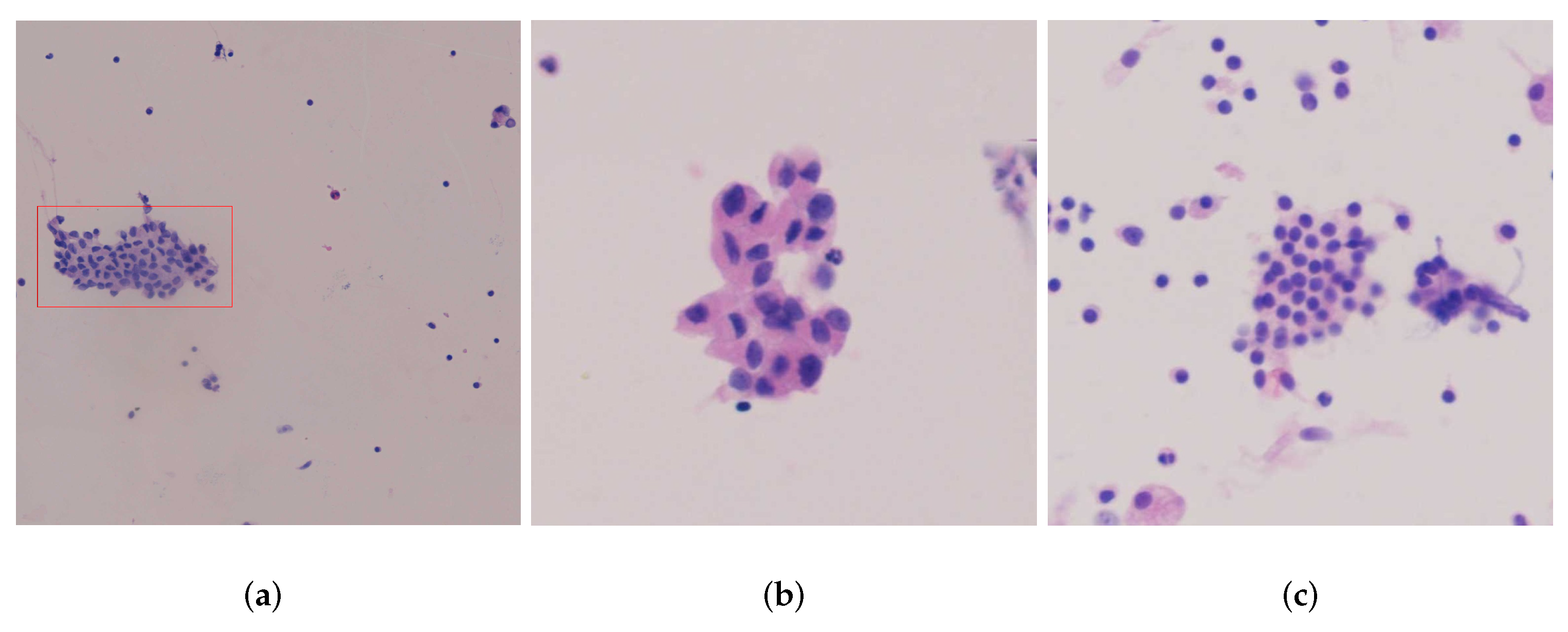 Electronics 11 04089 g002 Electronics 11 04089 g002