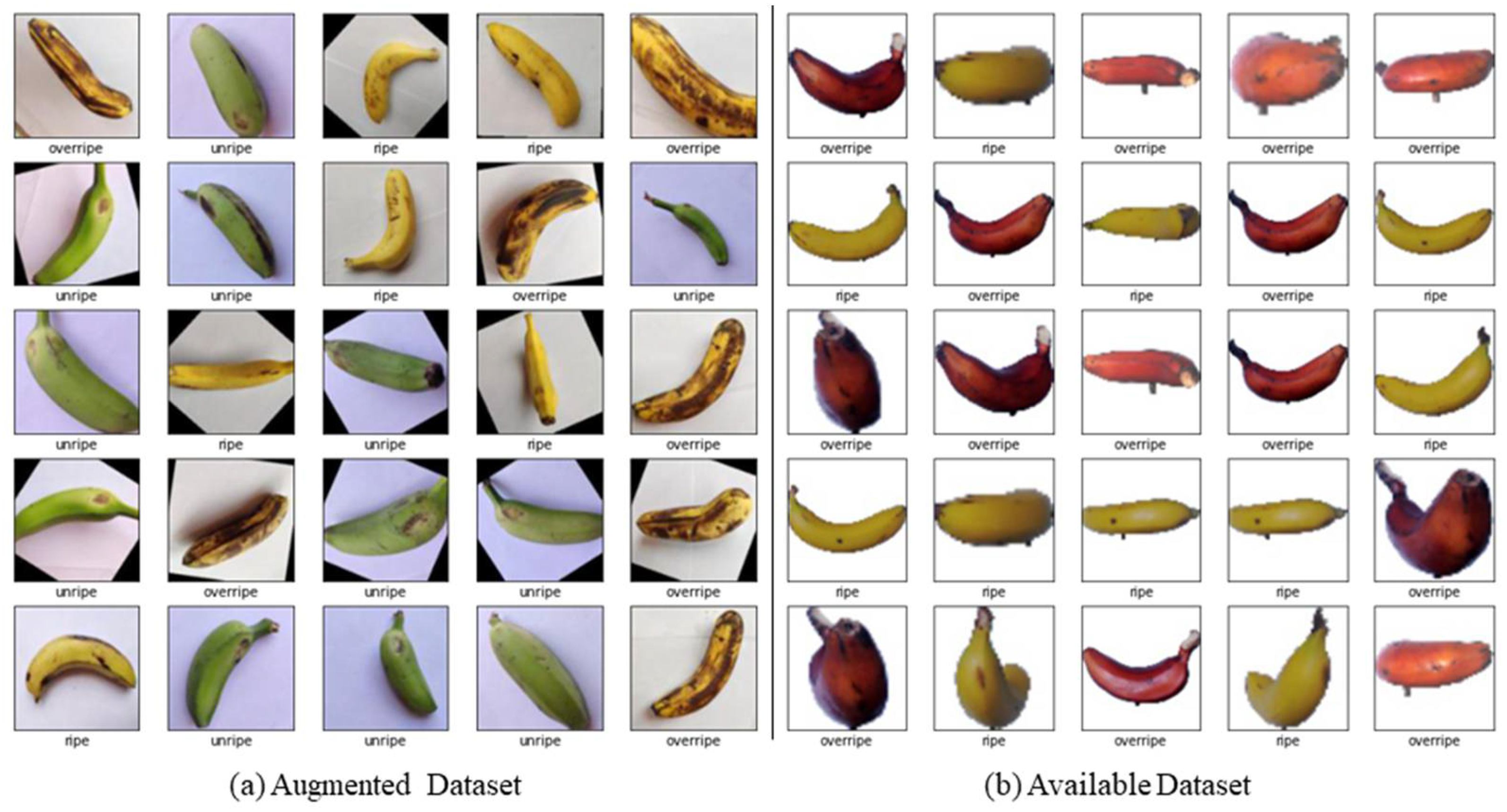 Strange Fruit Ripe for Pickin'--Chart of Various Women's Breast