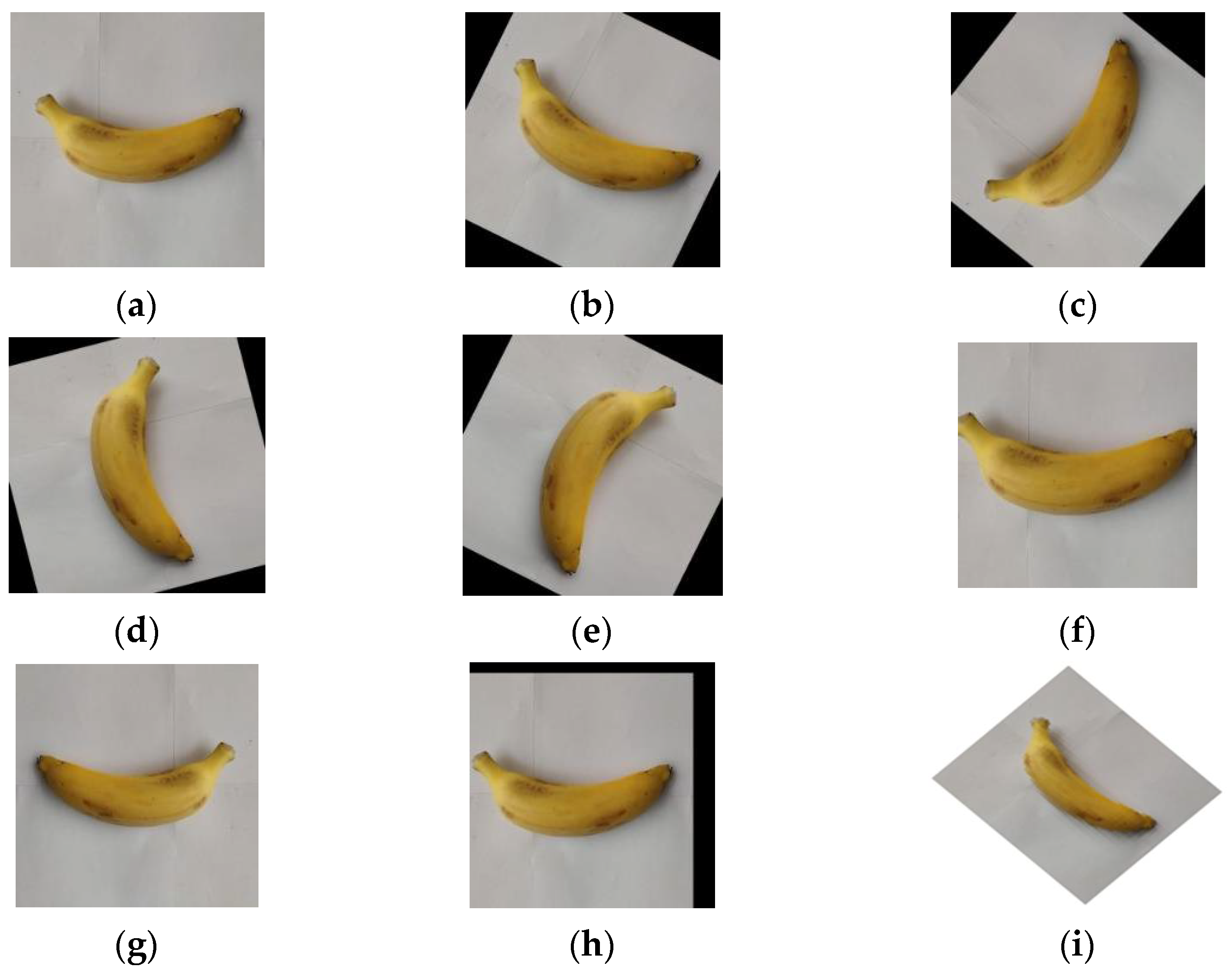 Electronics 11 04100 g004 Electronics 11 04100 g004